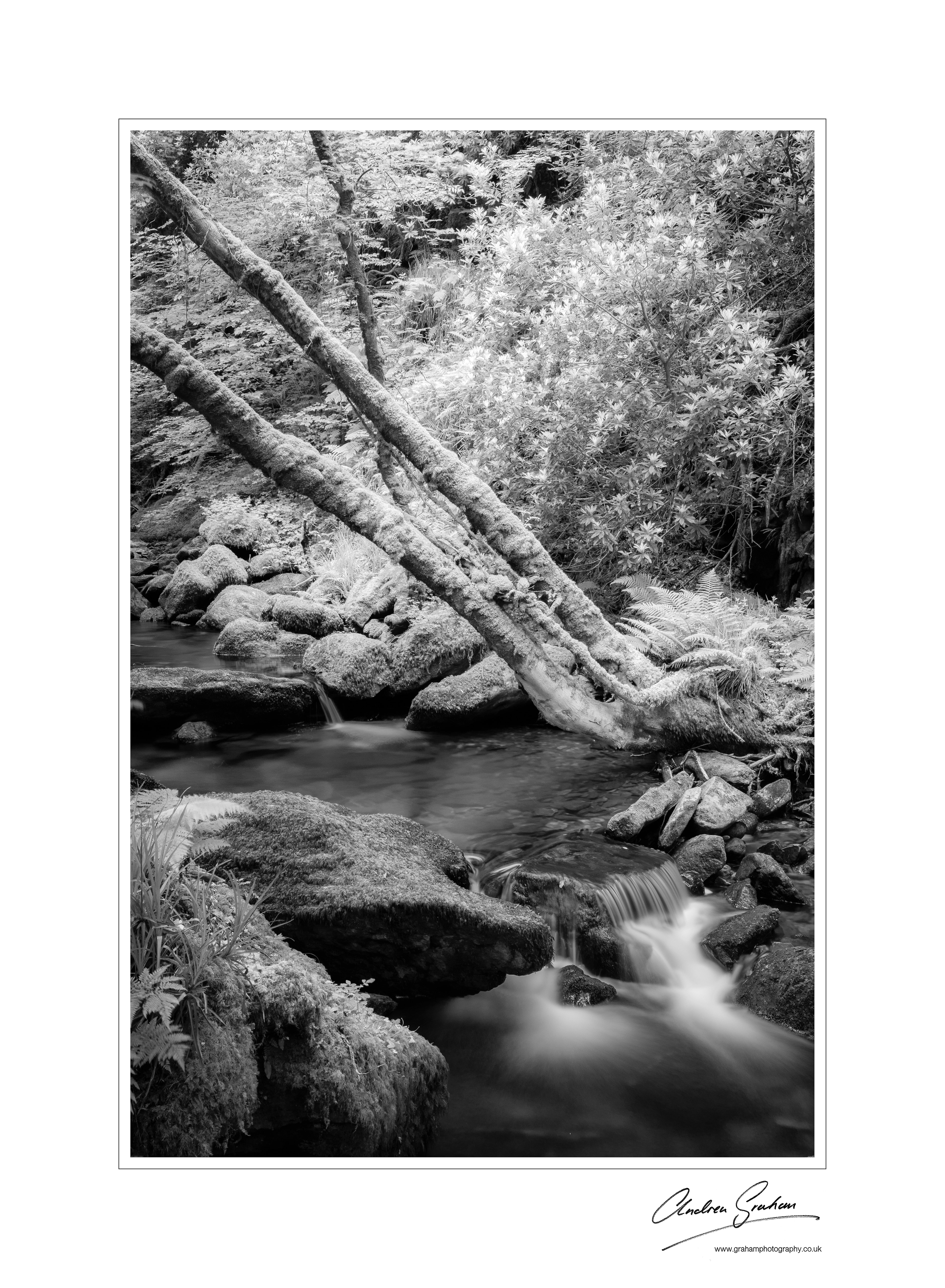 Muckross Waterfalls, Killarney