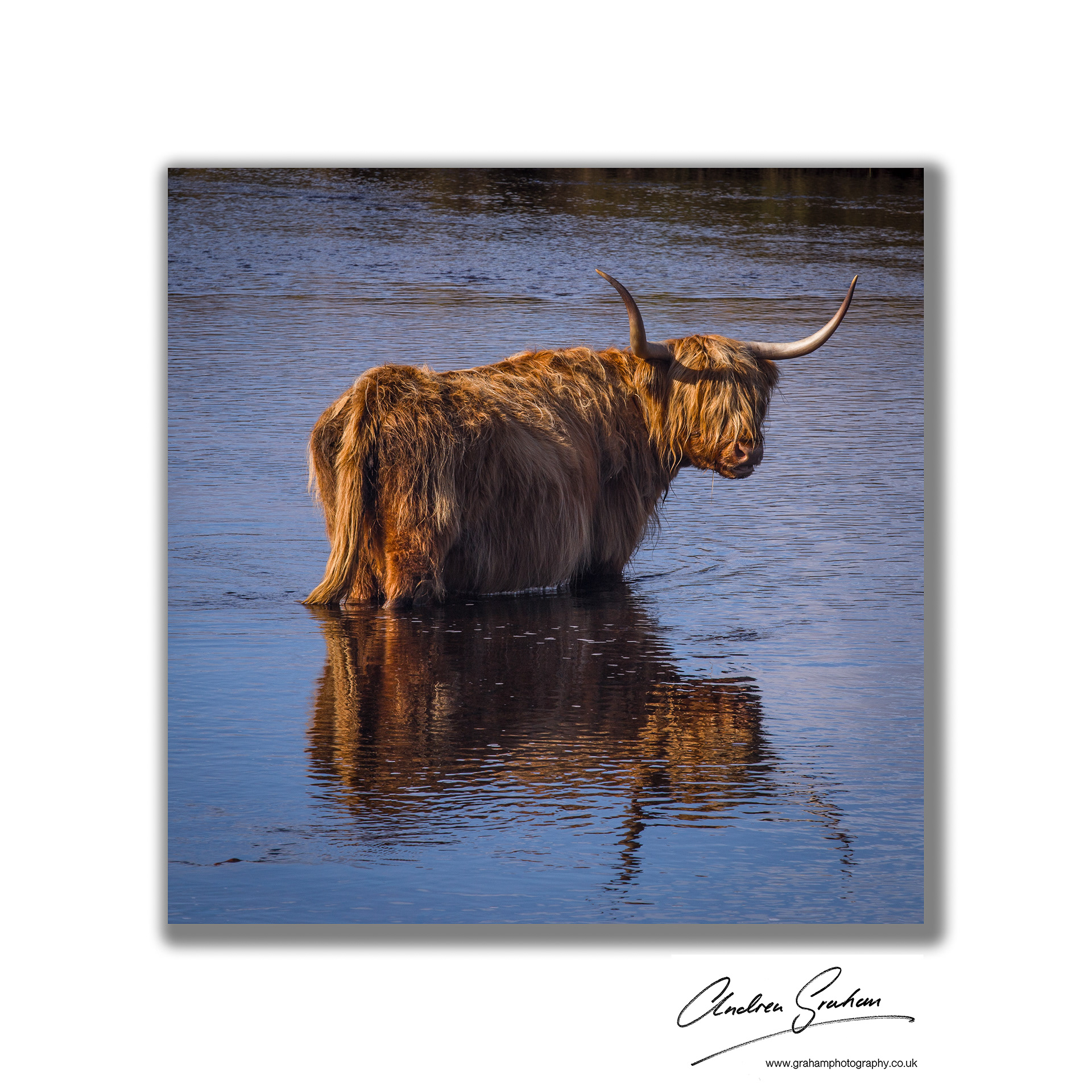 Mull