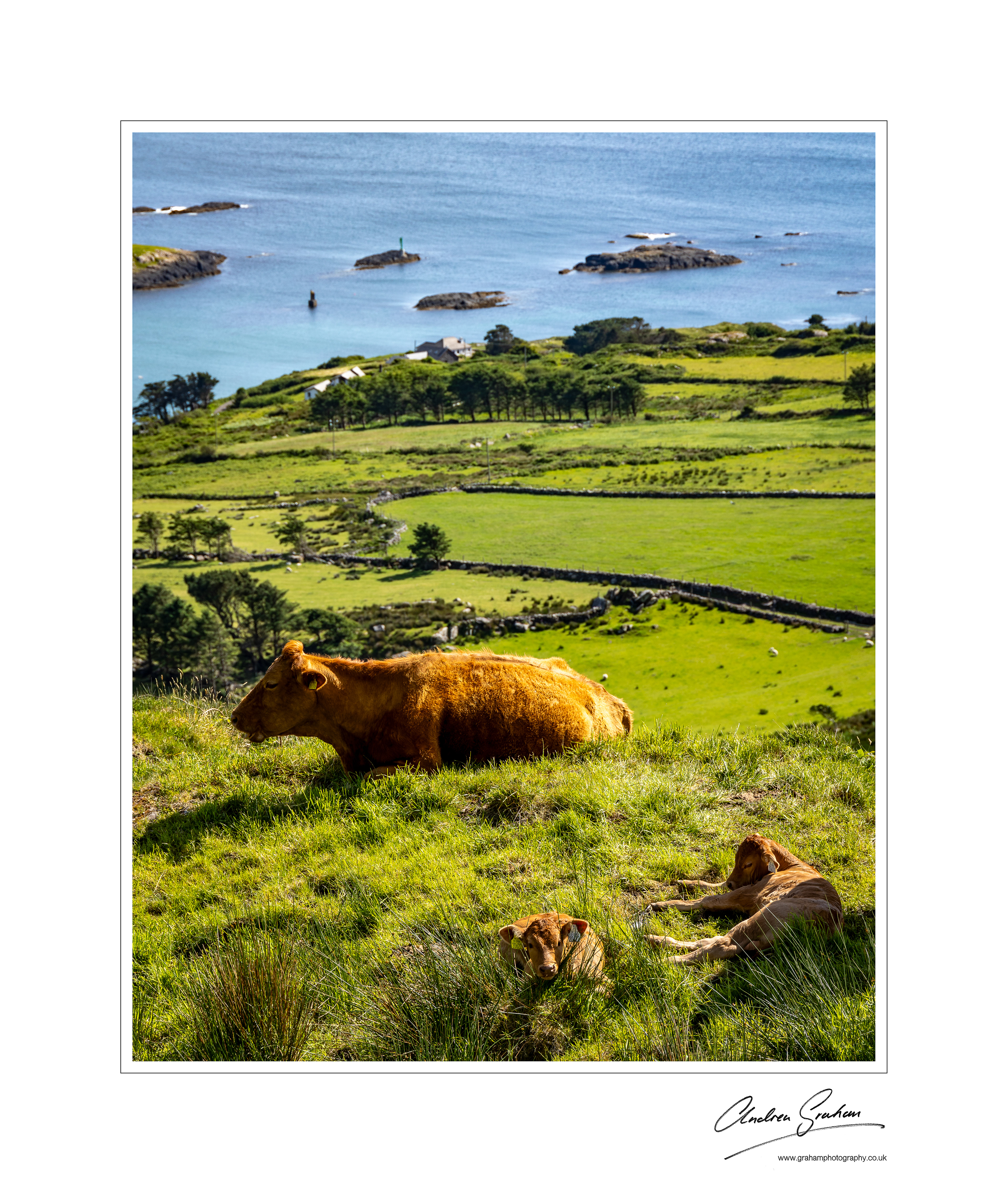 Atlantic View on the Ring Of Kerry
