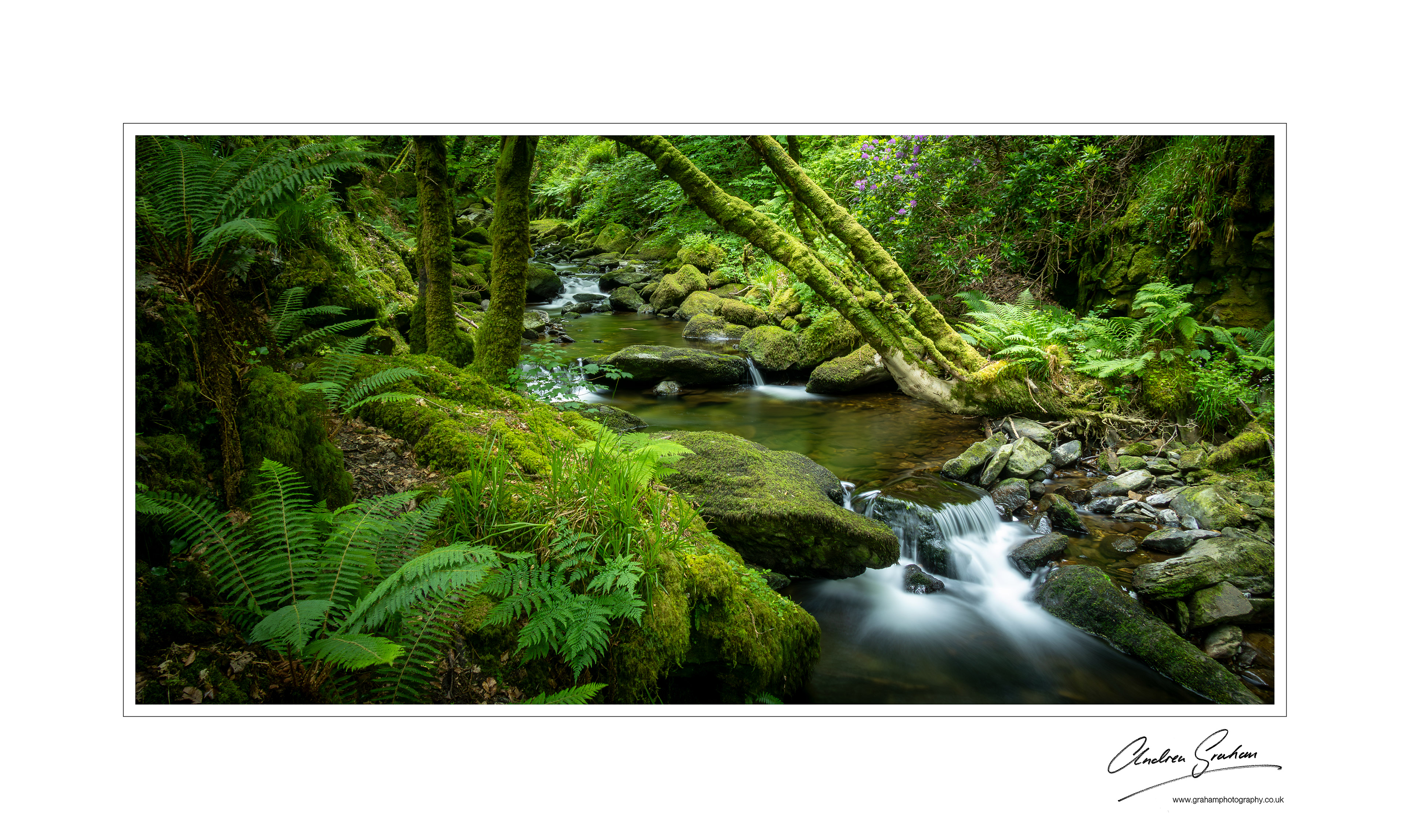 Muckross Waterfalls, Killarney