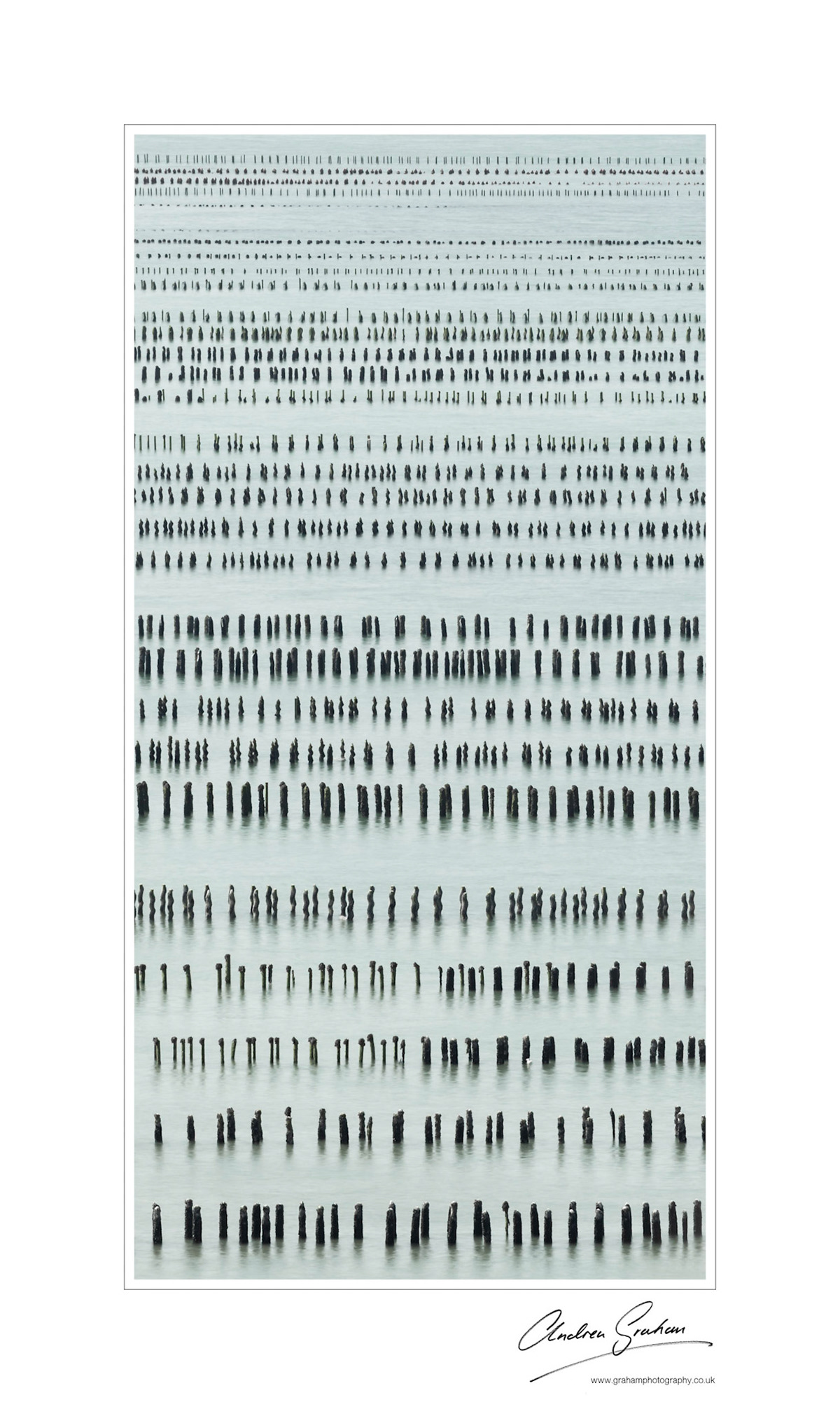 Mussel beds at Arguenon emerging like morse code as the tide goes out