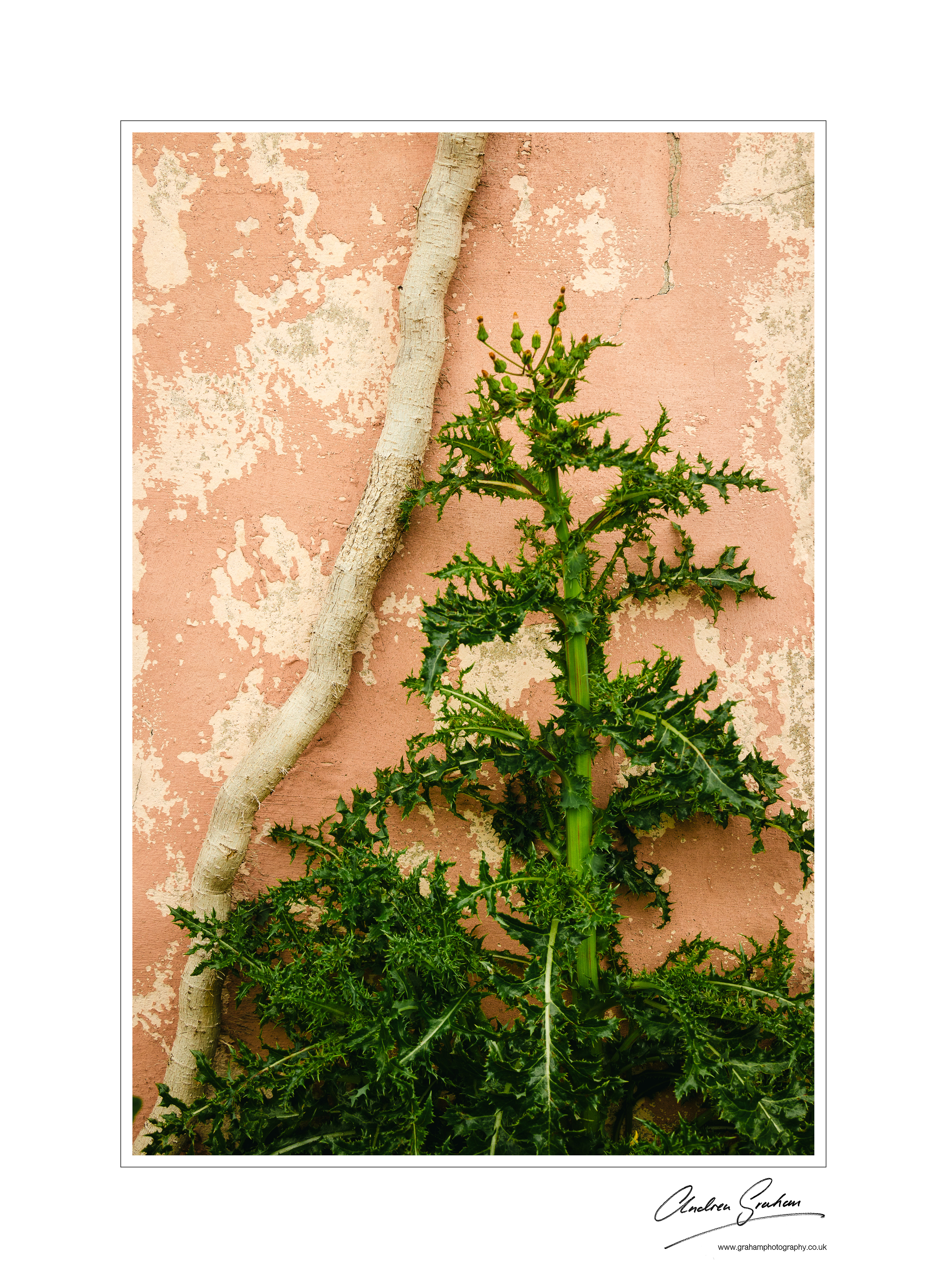 Abandoned House, Kilmurry, Annagh