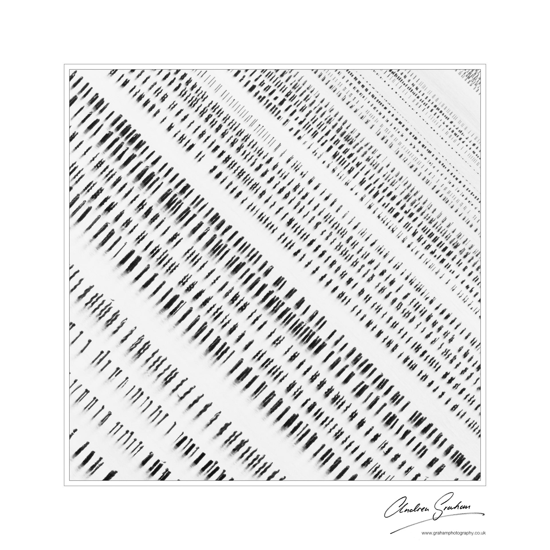 Mussel beds at Arguenon, Brittany