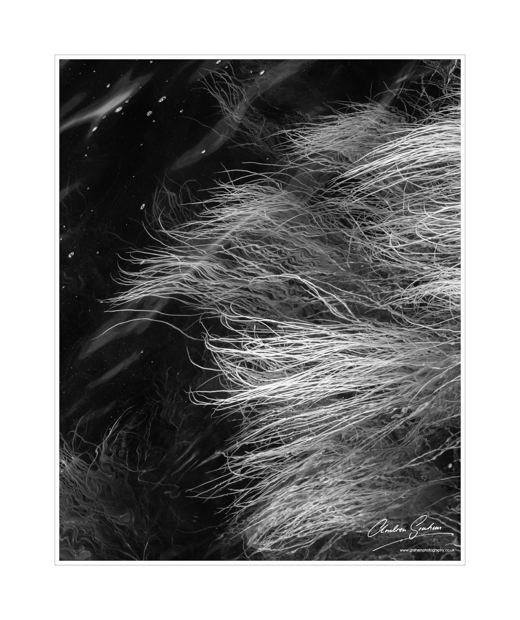 My first experience using an infrared camera shooting sea grass wafting in the sea at Ploumanach