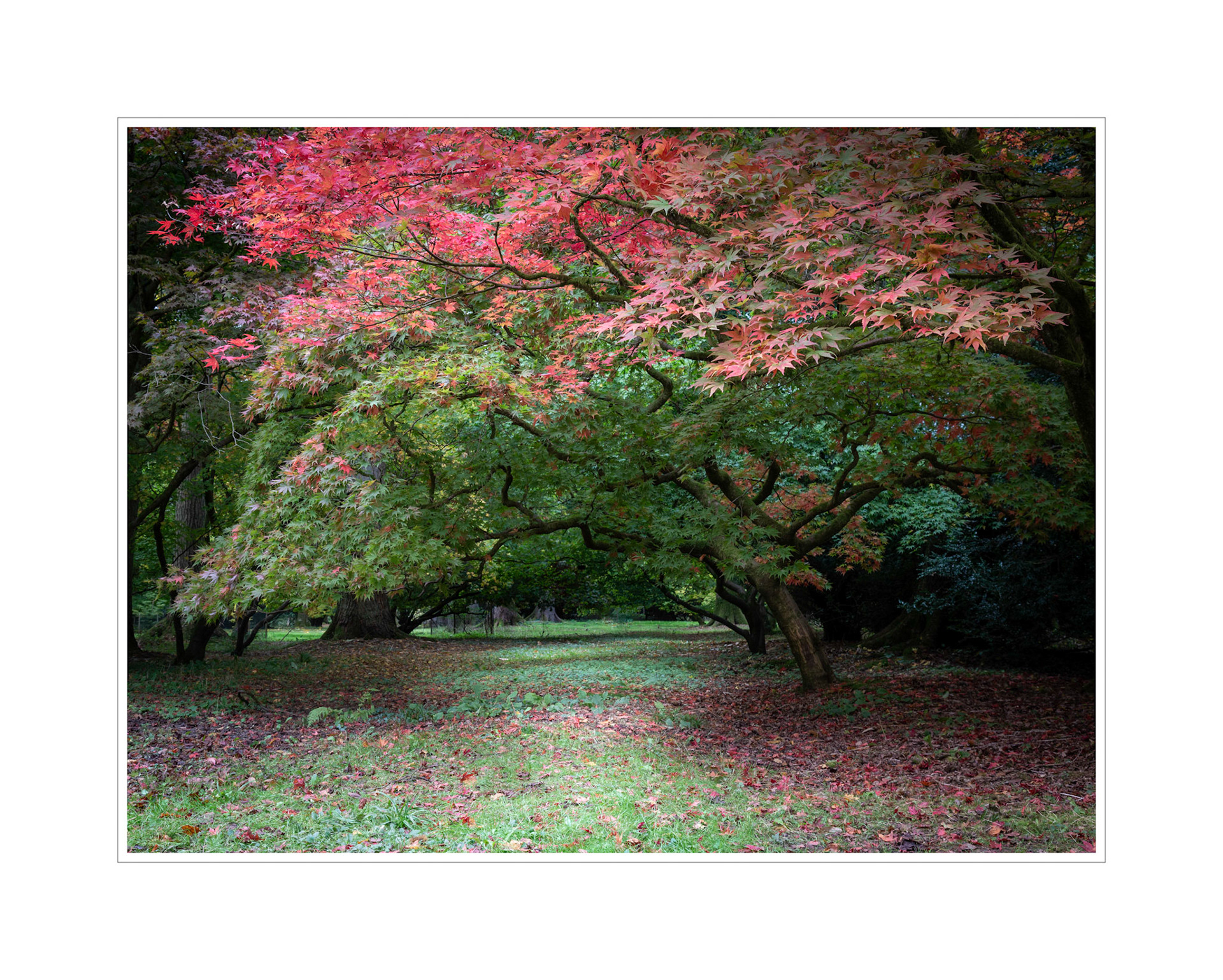 Westonbirt