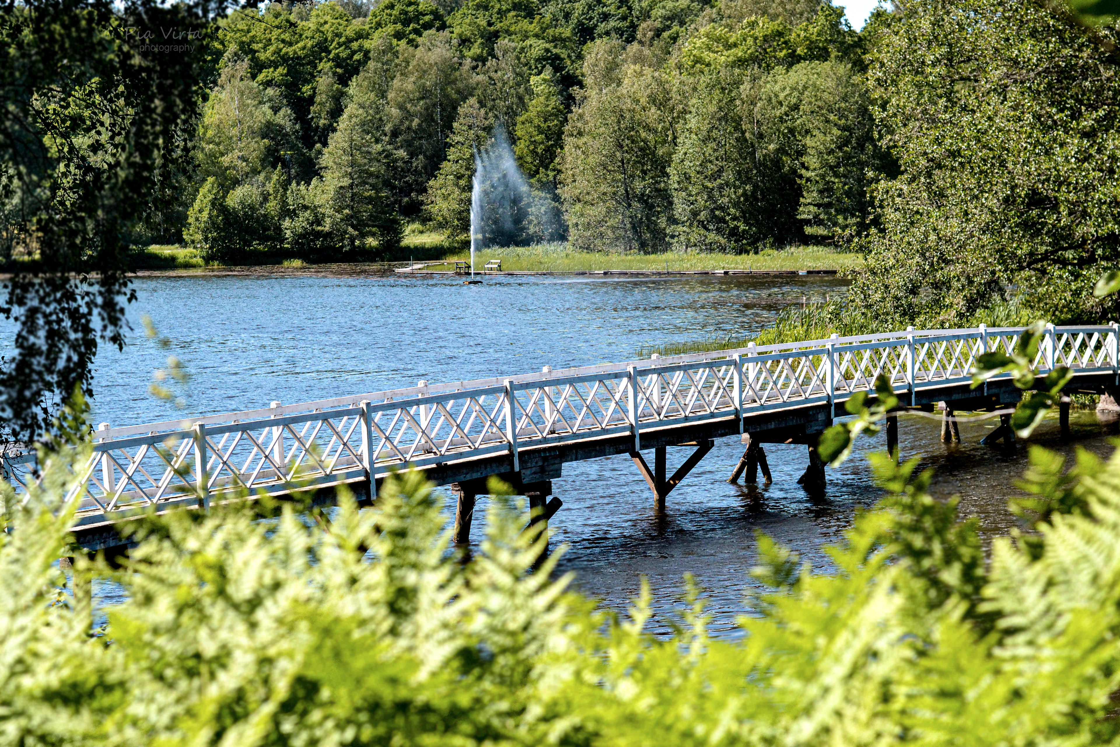 Mustionlinna 2019/6