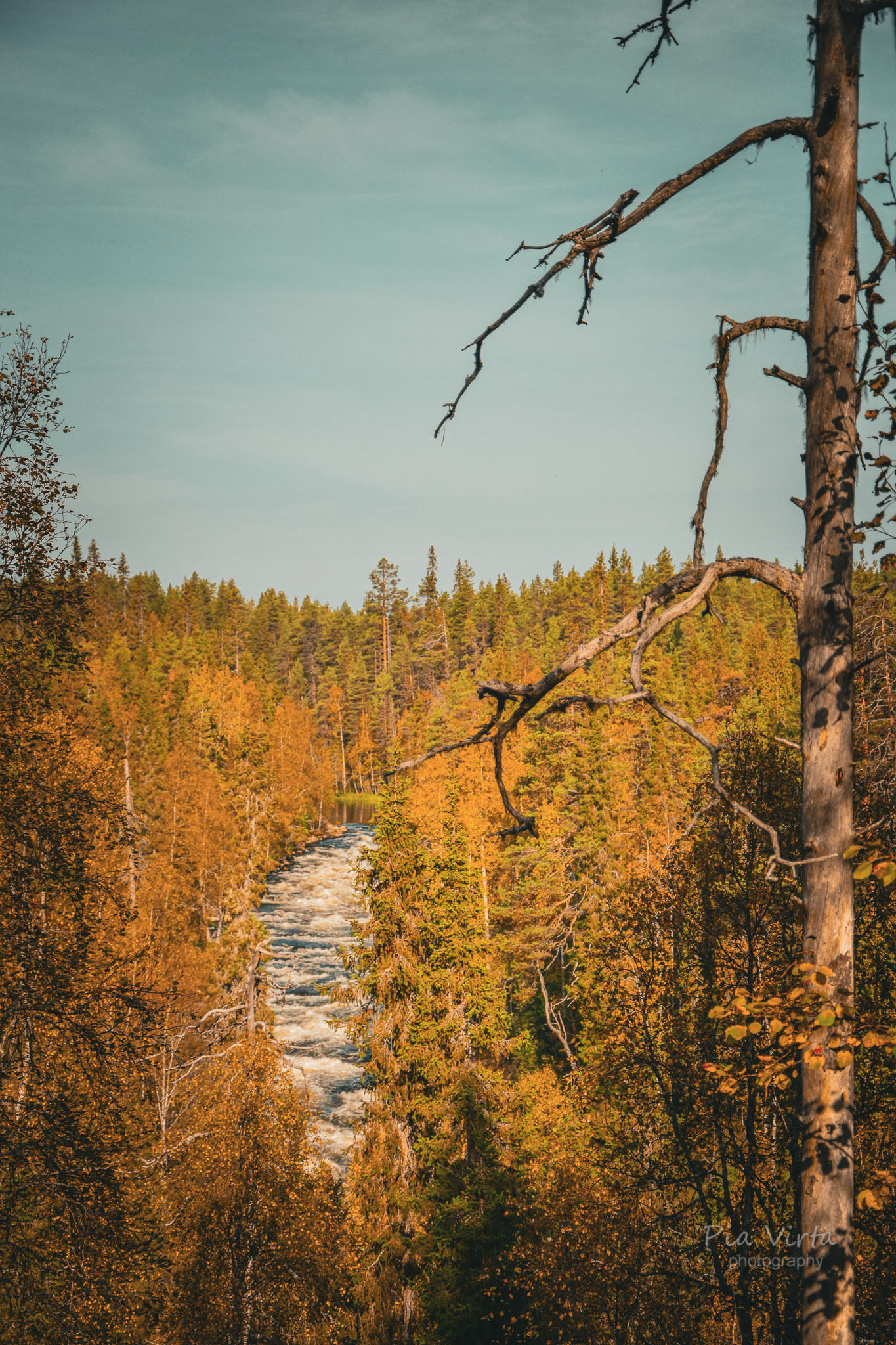 Kuusamo 2024/9