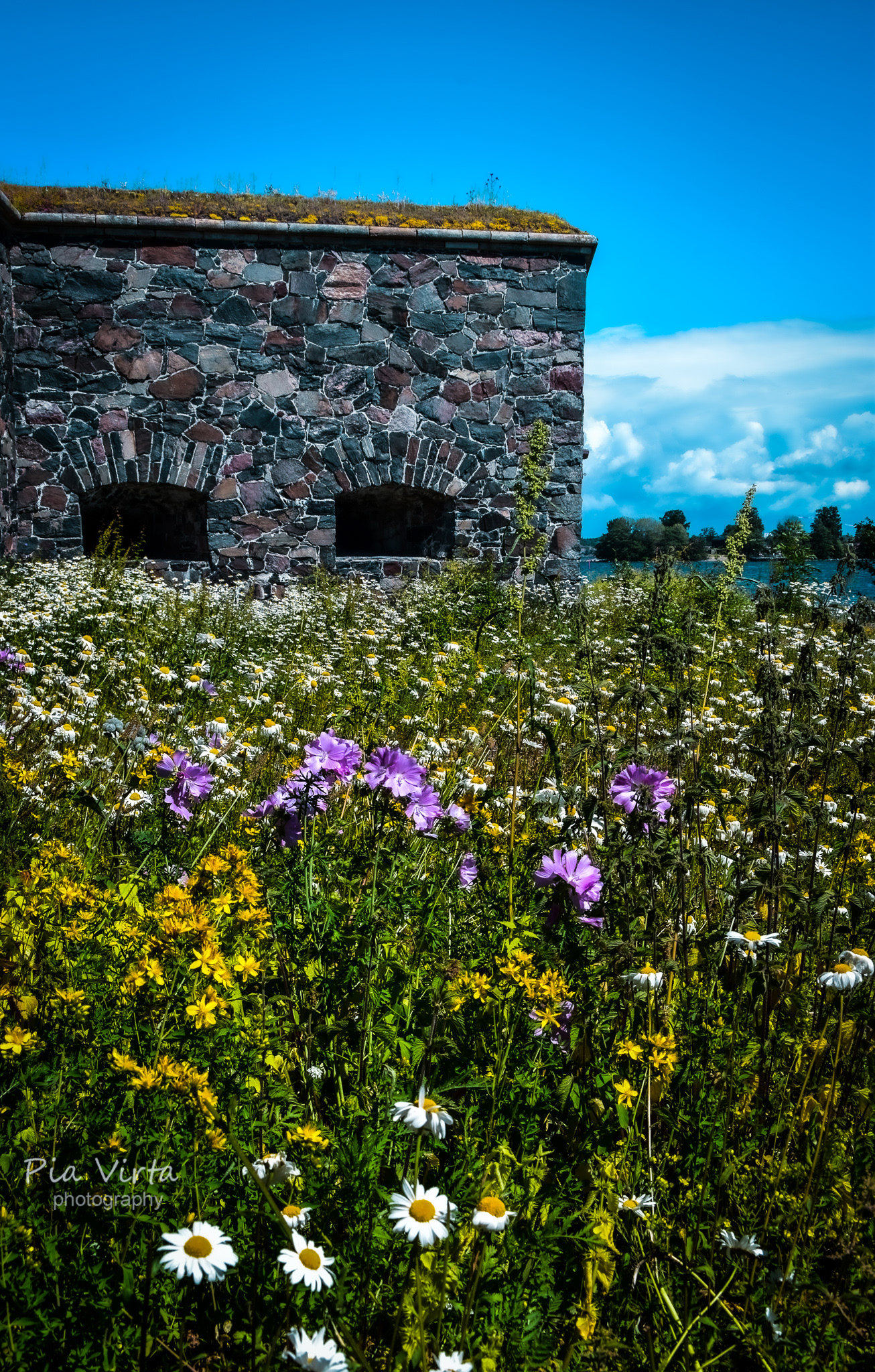 Suomenlinna 2022/7