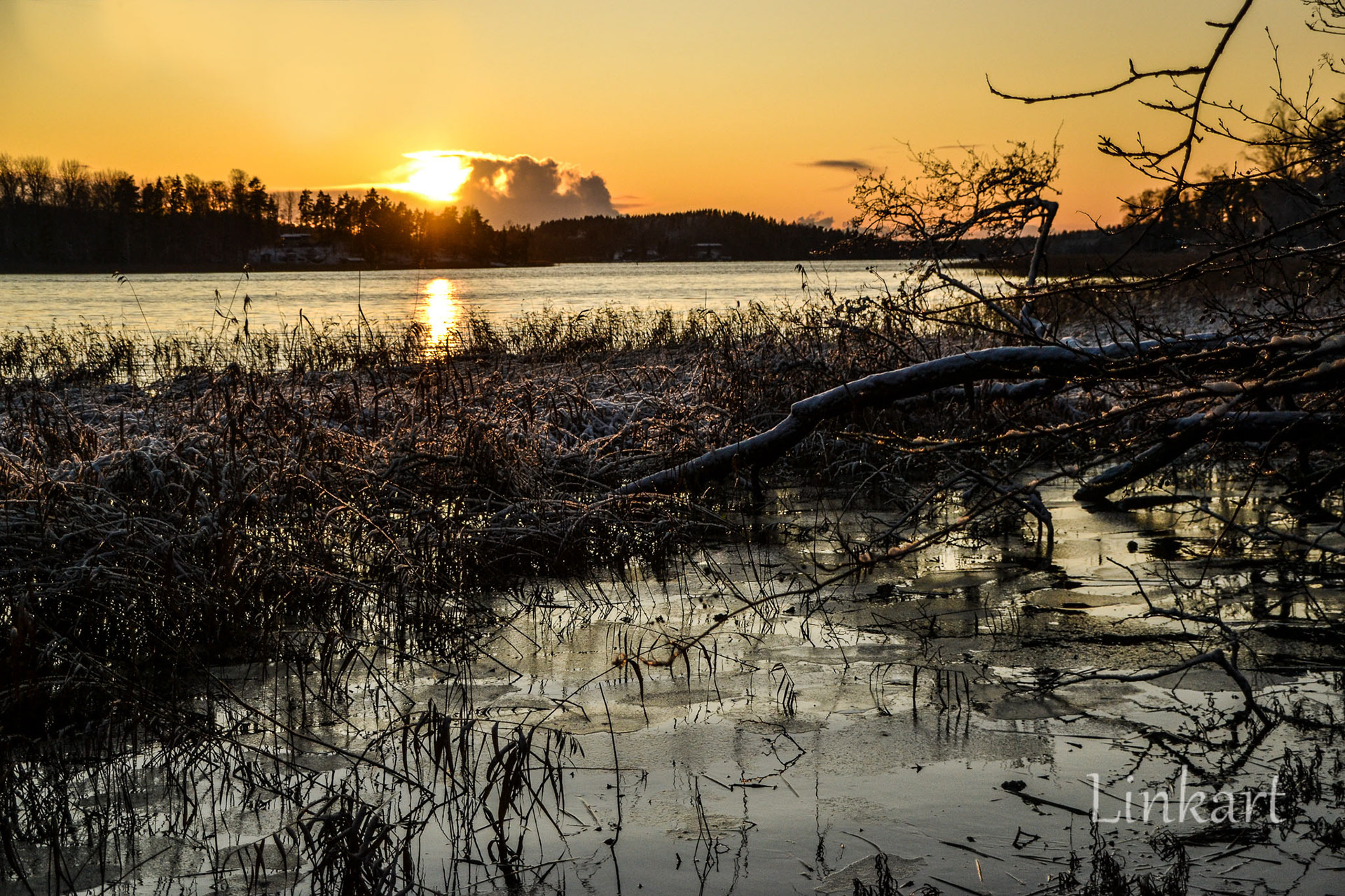 Liessaari 2019