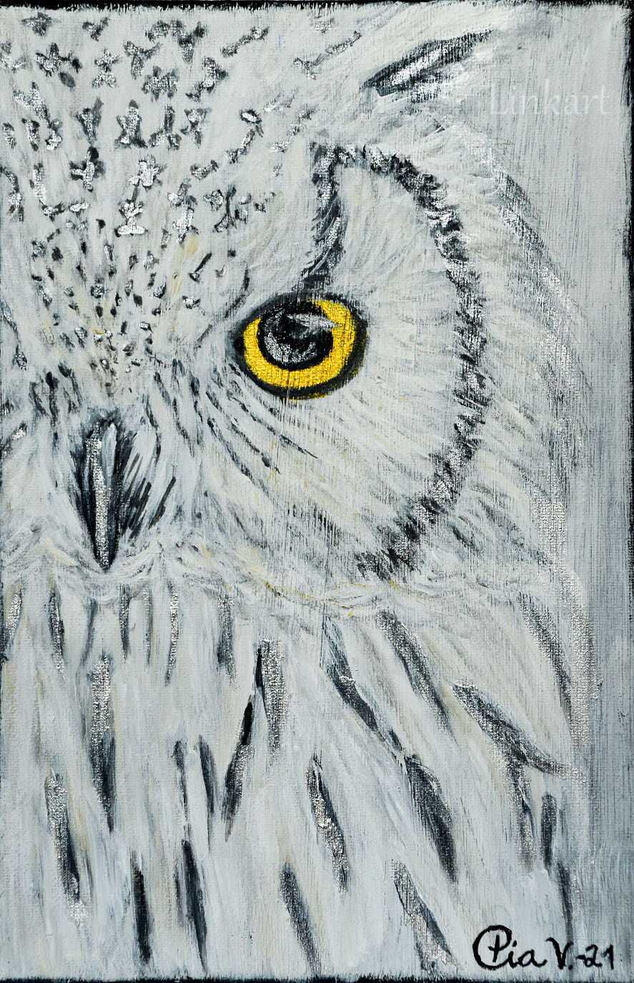 Wise owl 20x30 cm