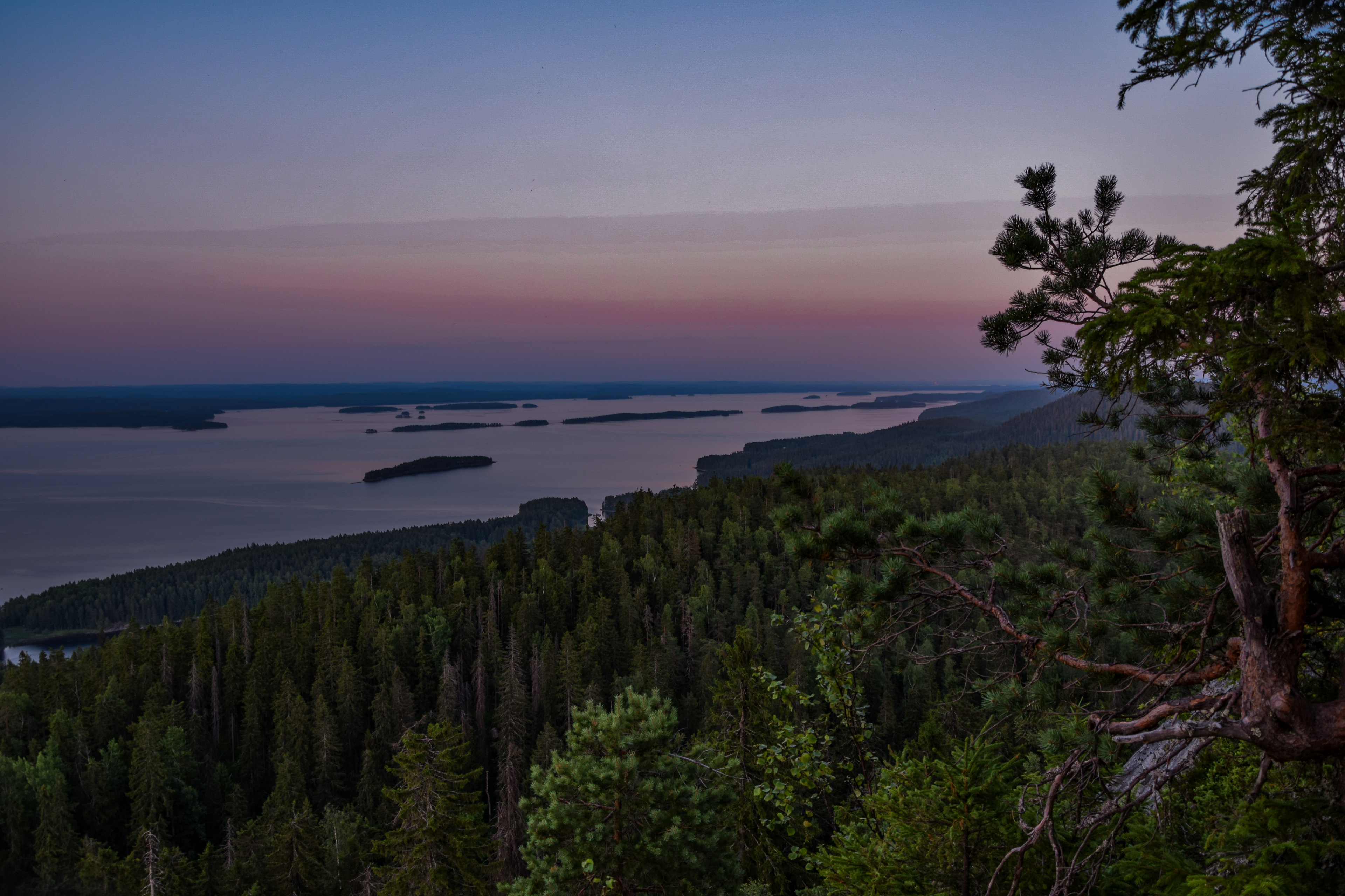 Koli 2025