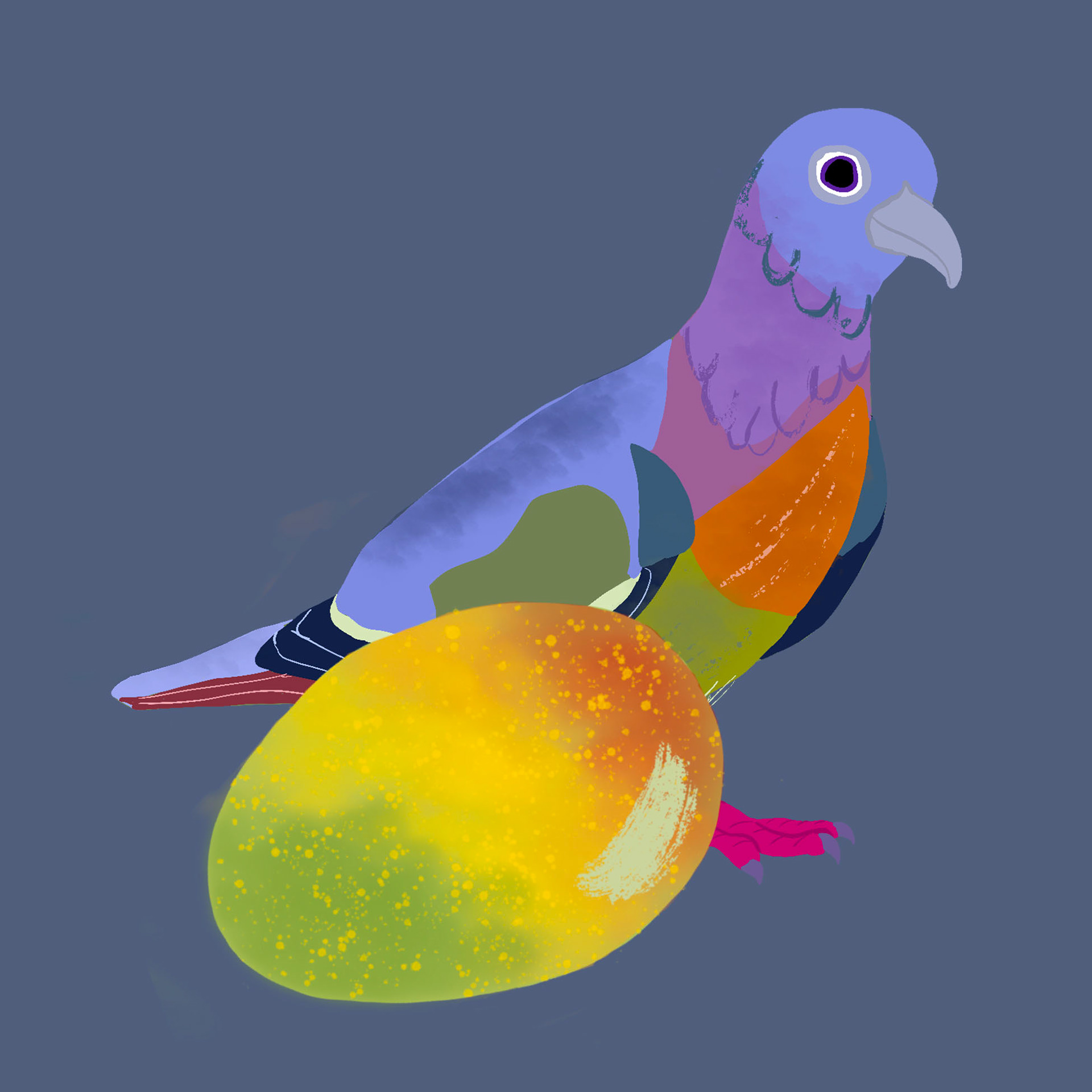 Pink-Necked Green PIgeon