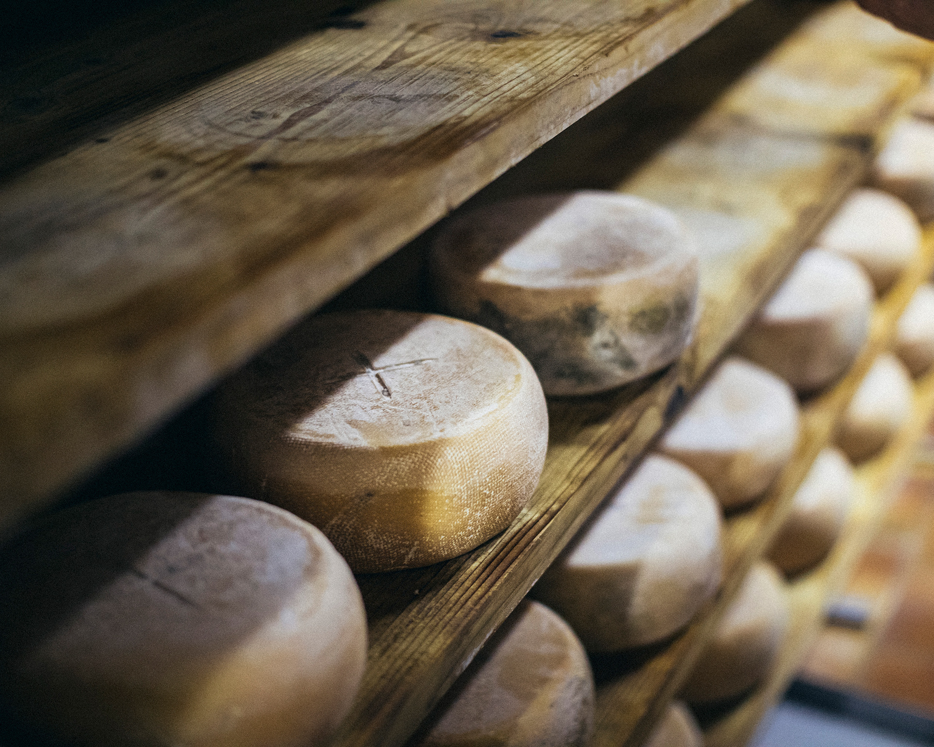Manu Bendick est fromager bio dans la vallée de la Bellongue en Ariège