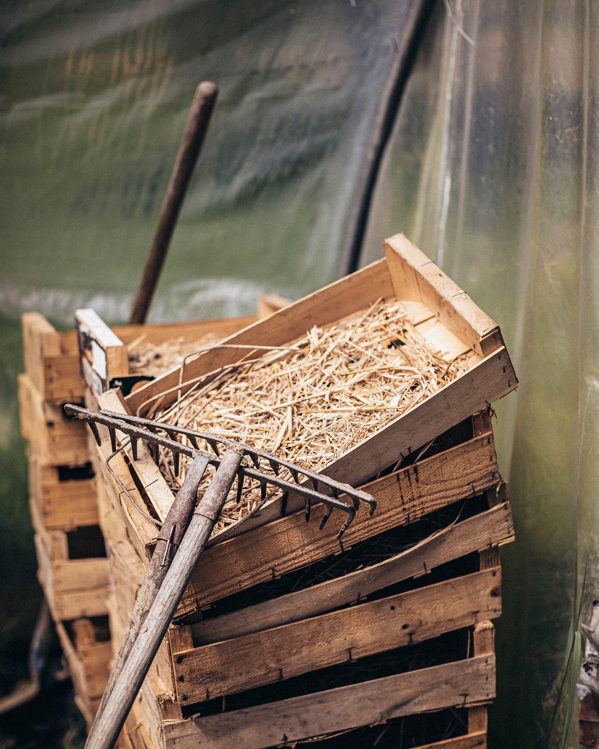 Reportage sur Pierre Daffis, maraîcher, installé à Augirein, dans le Couserans. Pierre travaille sa terre avec les techniques de permaculture.