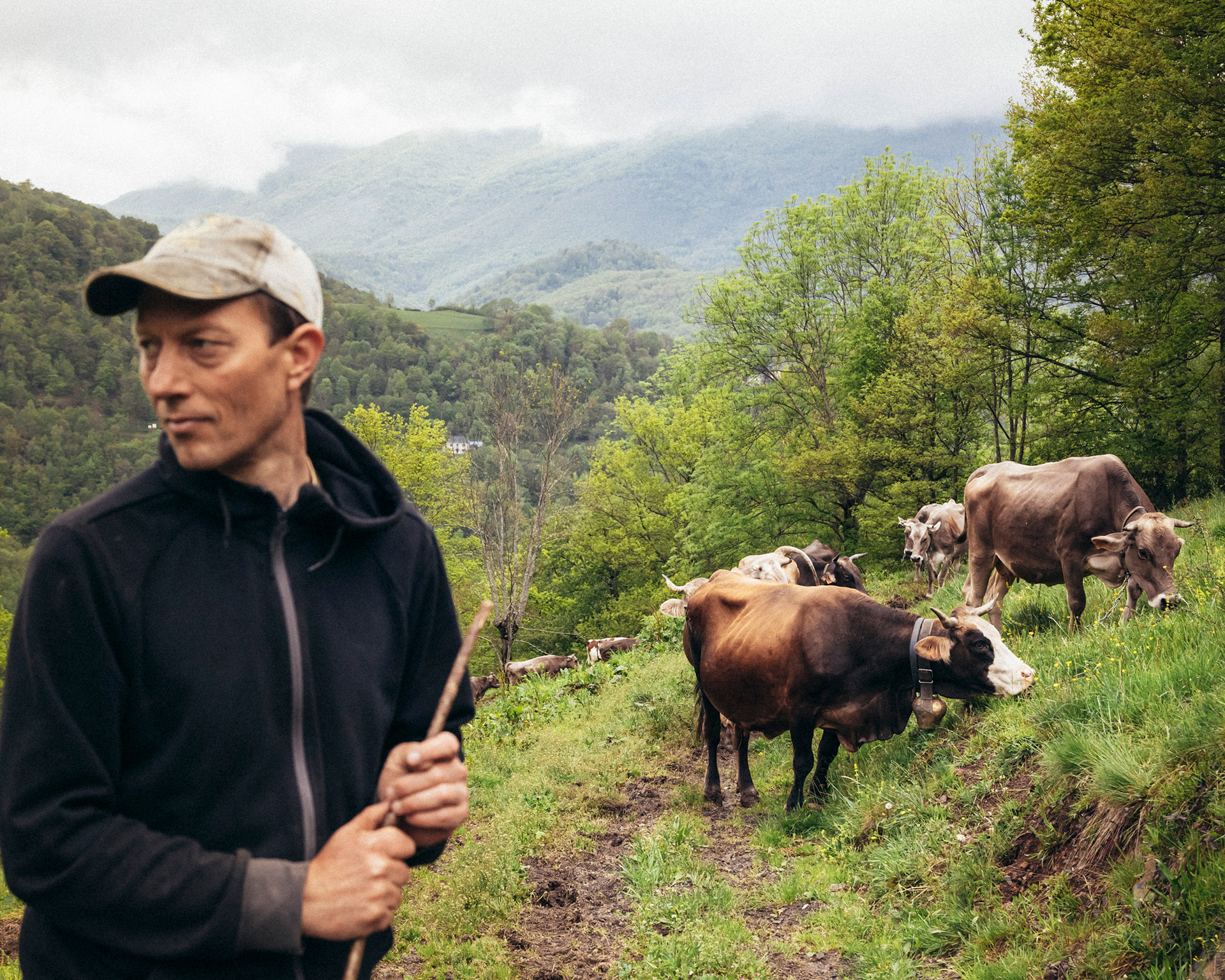 Manu Bendick est fromager bio dans la vallée de la Bellongue en Ariège