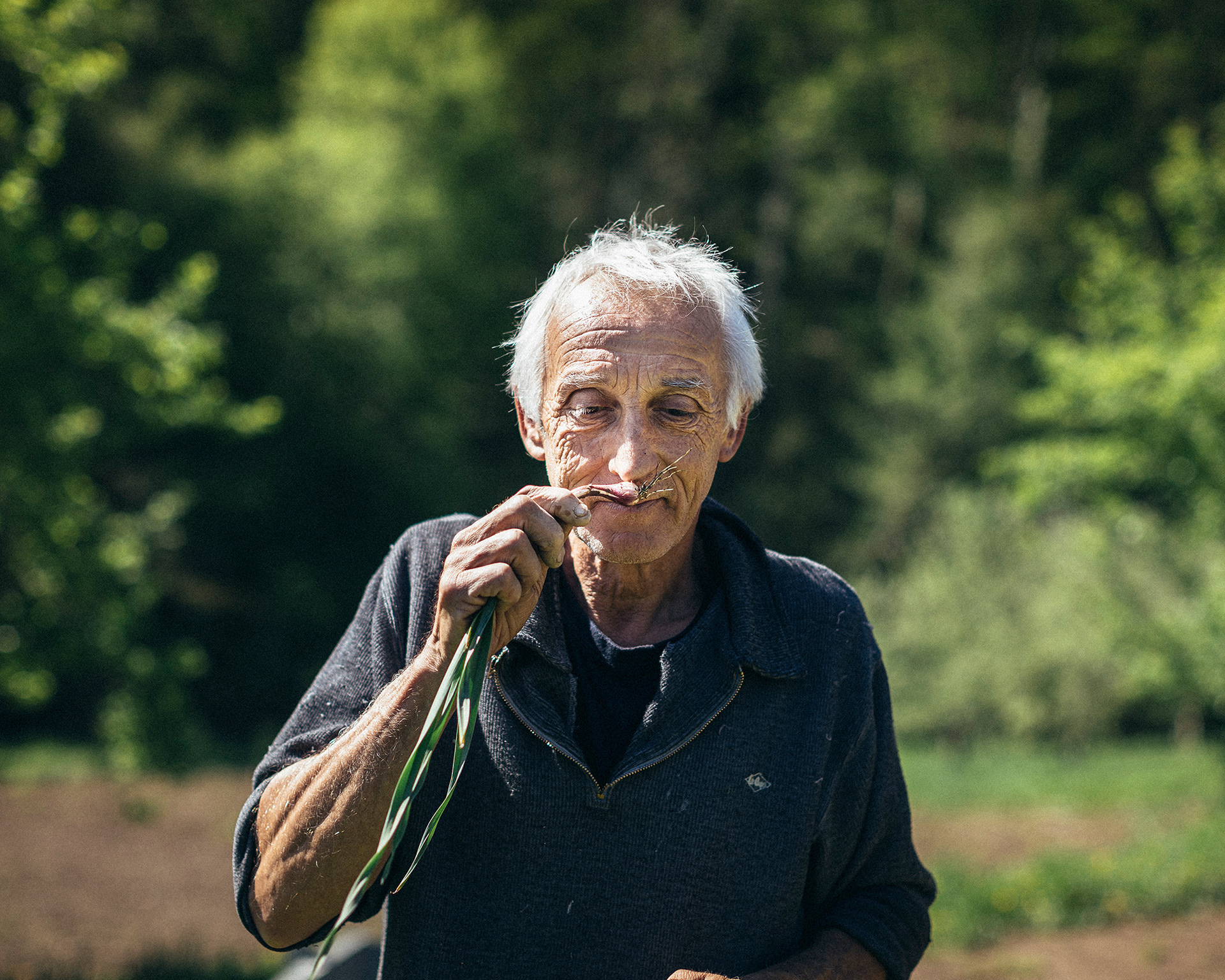 Reportage sur Pierre Daffis, maraîcher, installé à Augirein, dans le Couserans. Pierre travaille sa terre avec les techniques de permaculture.