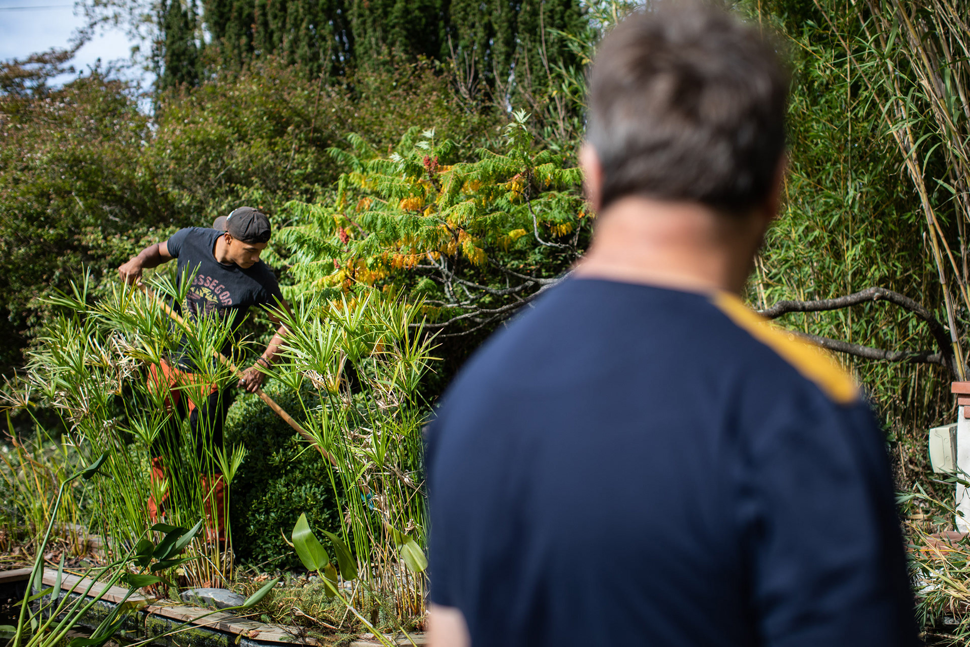 Reportage photo pour la Cité des Sciences vertes à Auzeville.