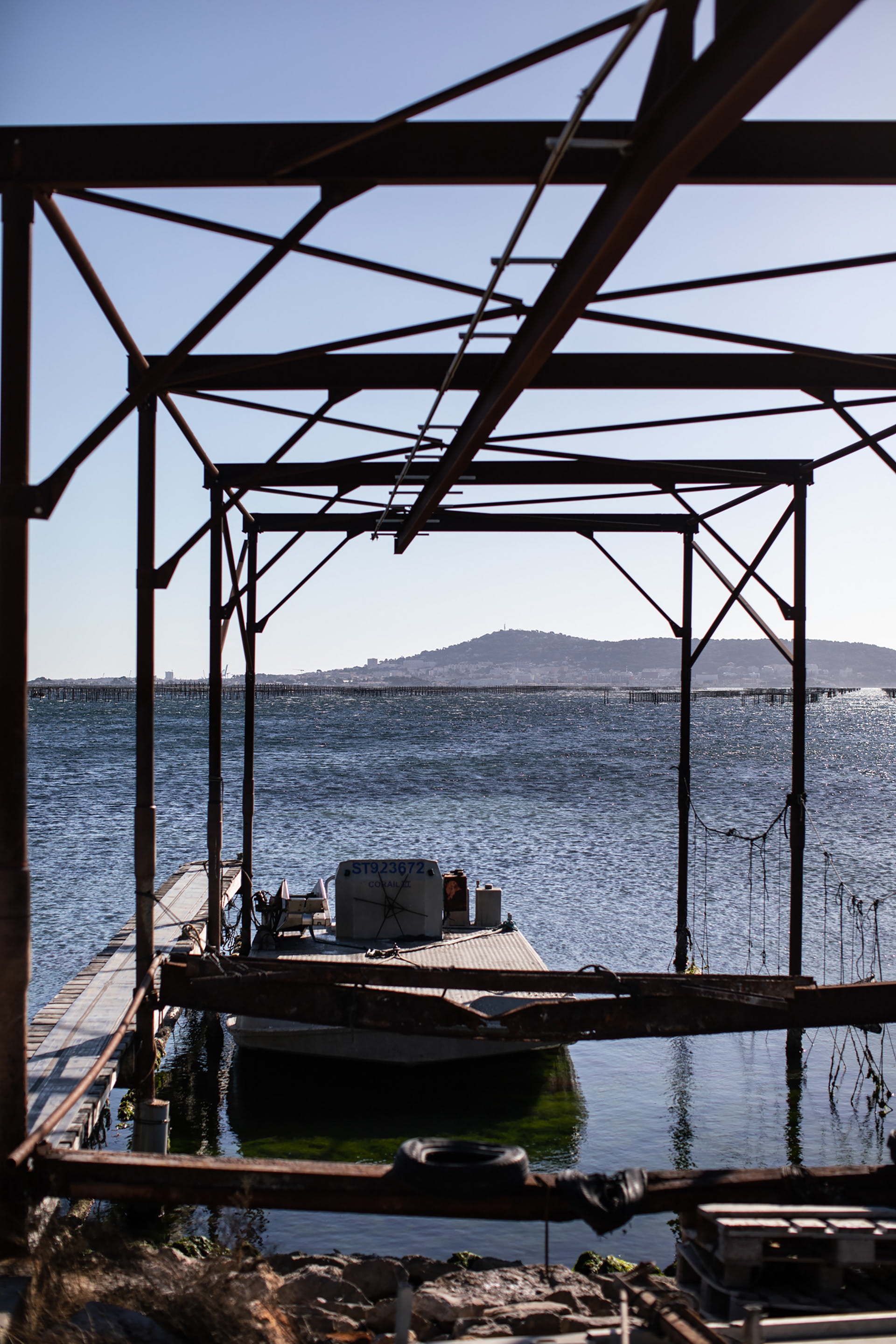 Reportage photo pour la société l'ostréiculture Mas St clair