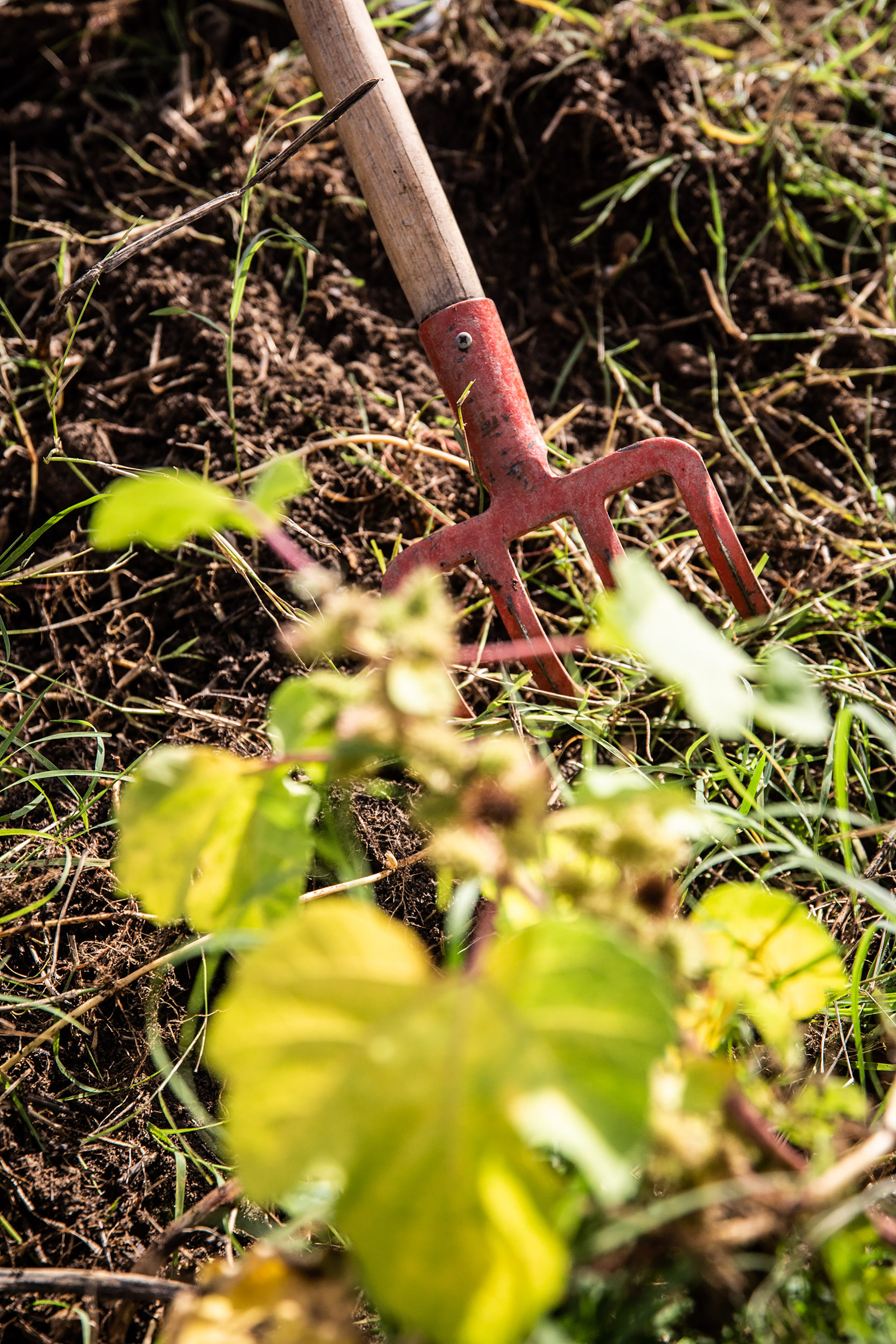 Reportage photo pour la Cité des Sciences vertes à Auzeville.