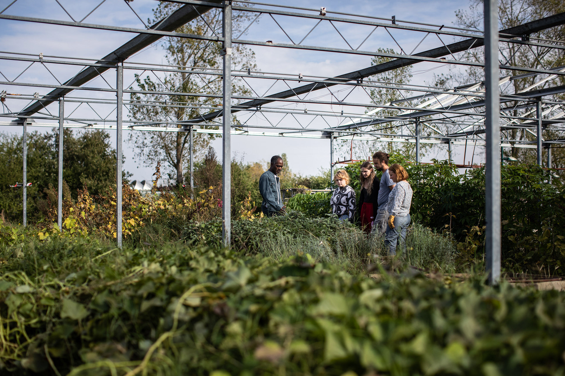 Reportage photo pour la Cité des Sciences vertes à Auzeville.