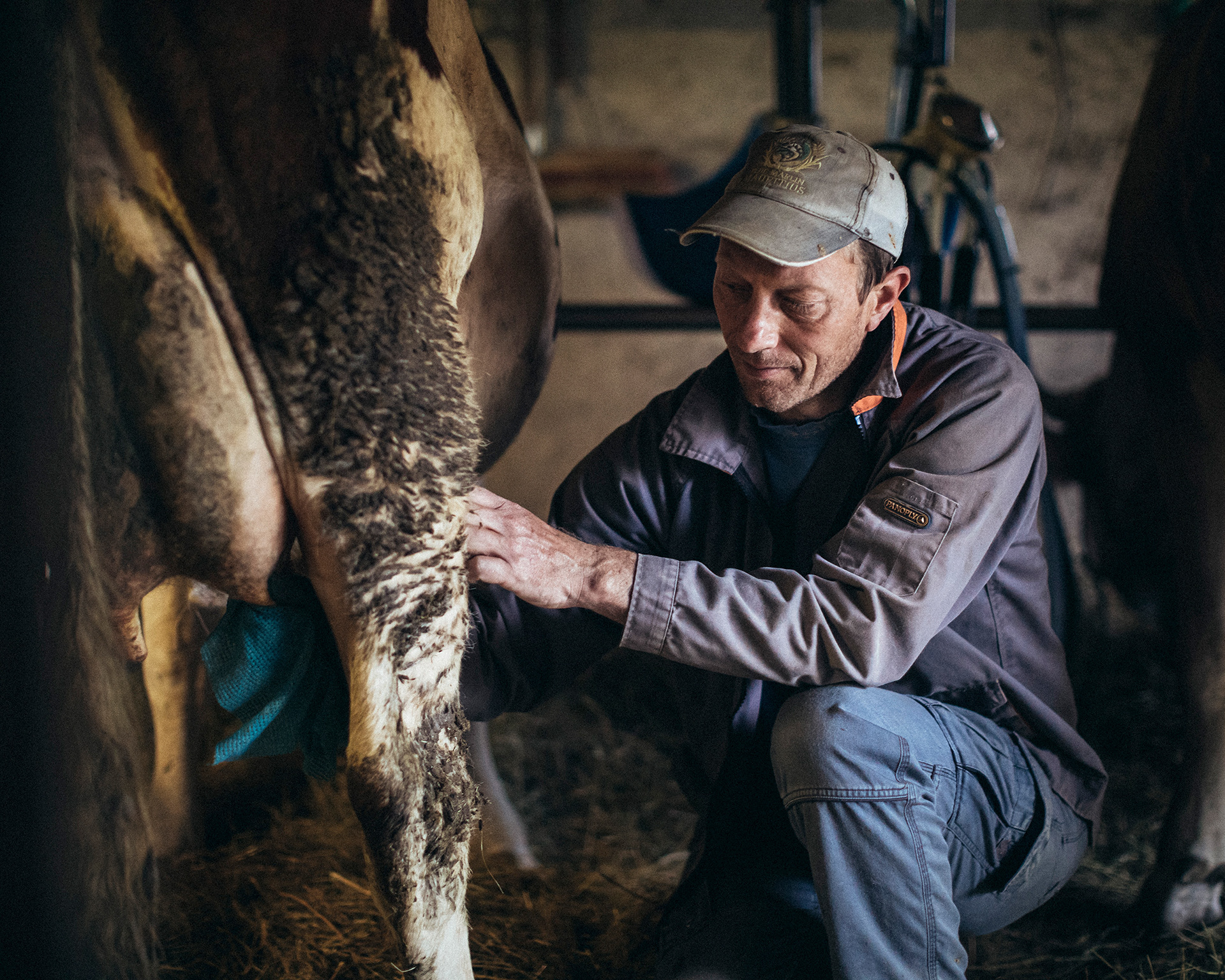 Manu Bendick est fromager bio dans la vallée de la Bellongue en Ariège