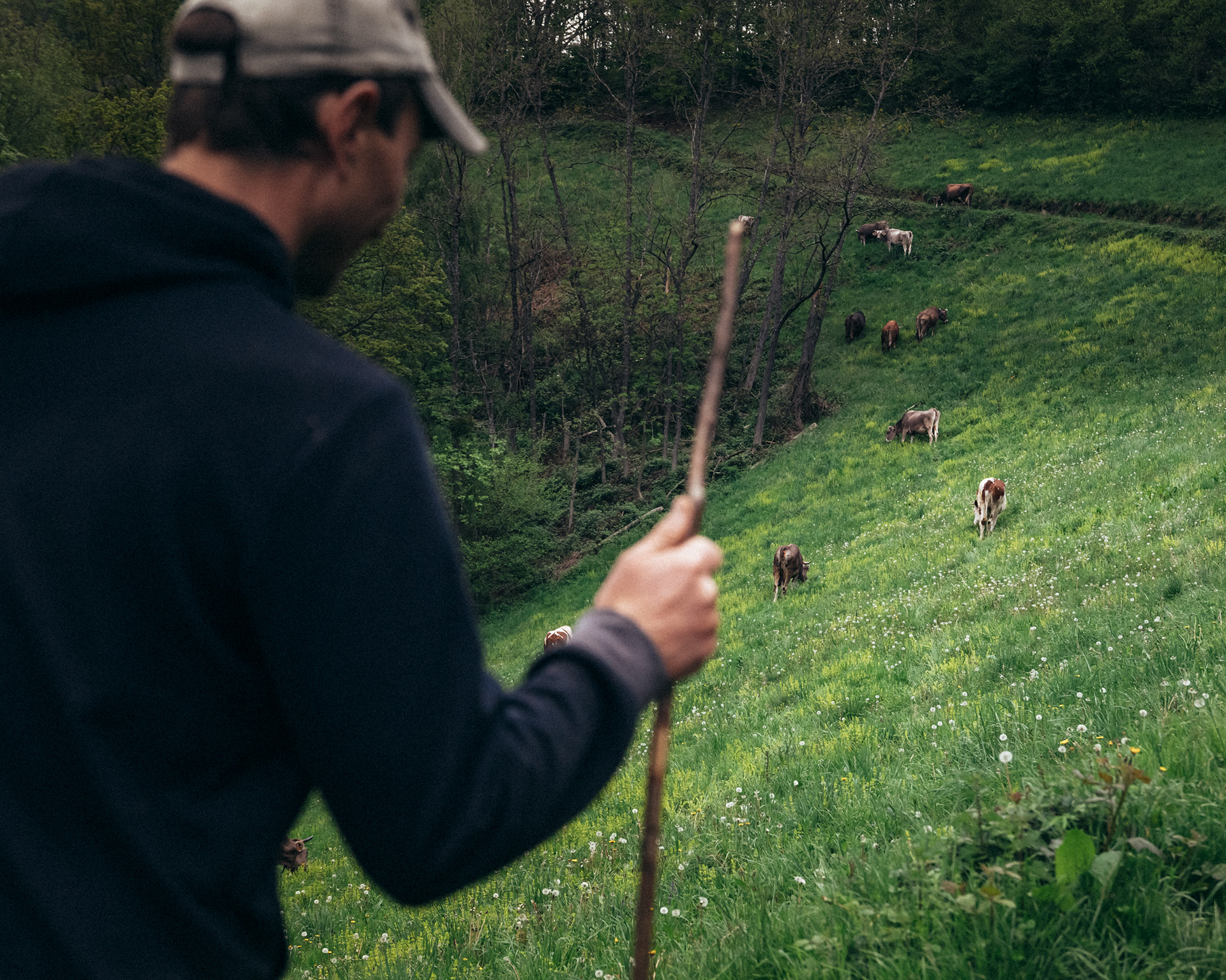 Manu Bendick est fromager bio dans la vallée de la Bellongue en Ariège