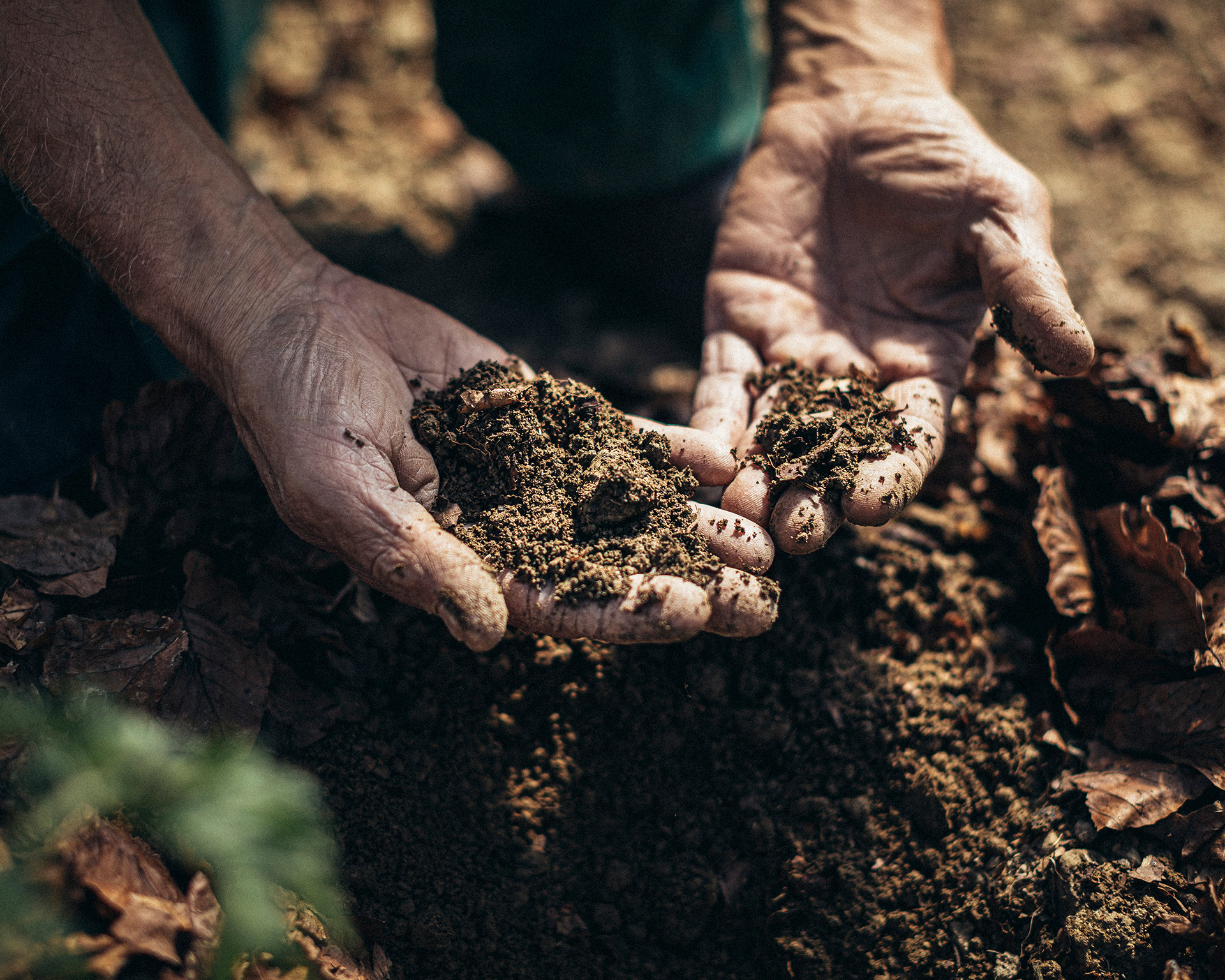 Reportage sur Pierre Daffis, maraîcher, installé à Augirein, dans le Couserans. Pierre travaille sa terre avec les techniques de permaculture.
