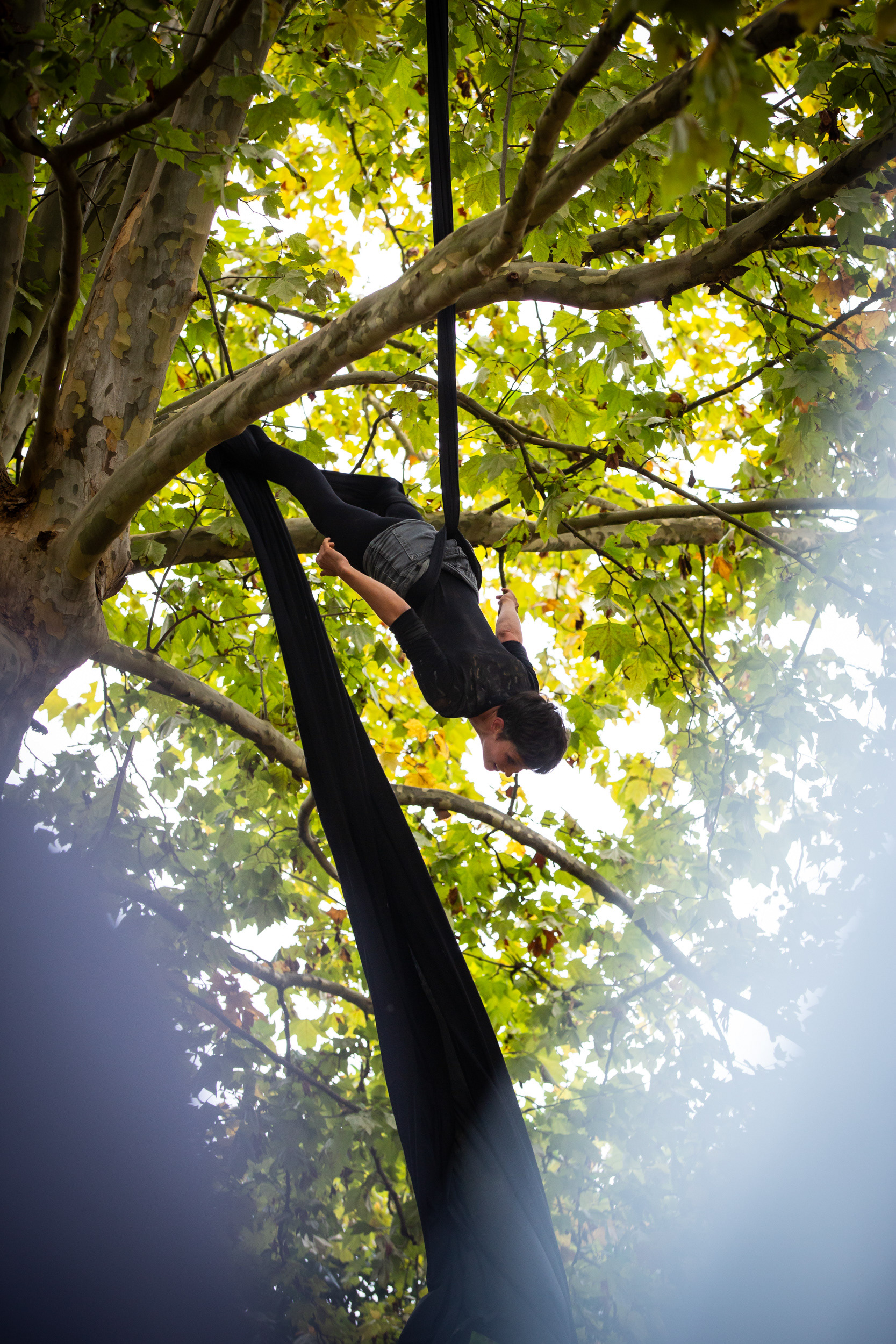 Festival TUM rue 2024