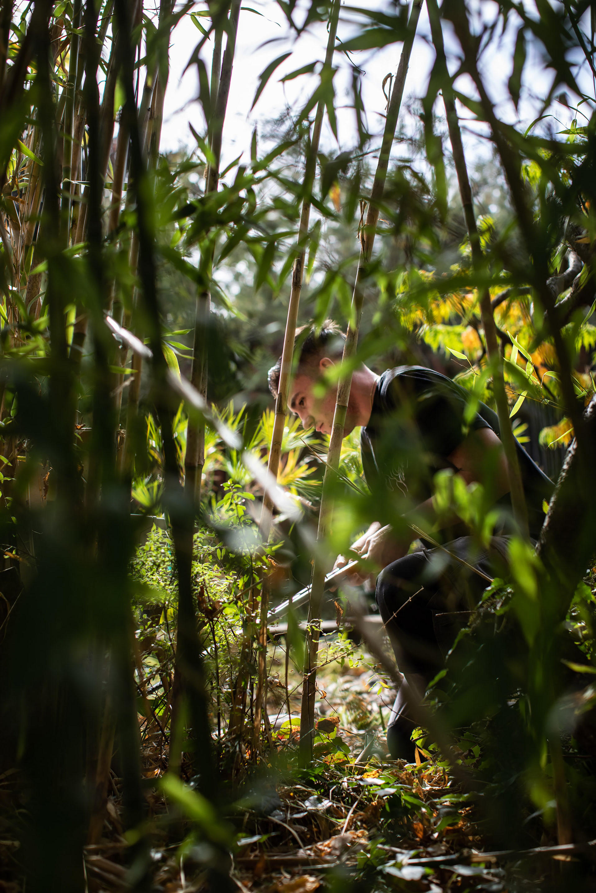 Reportage photo pour la Cité des Sciences vertes à Auzeville.