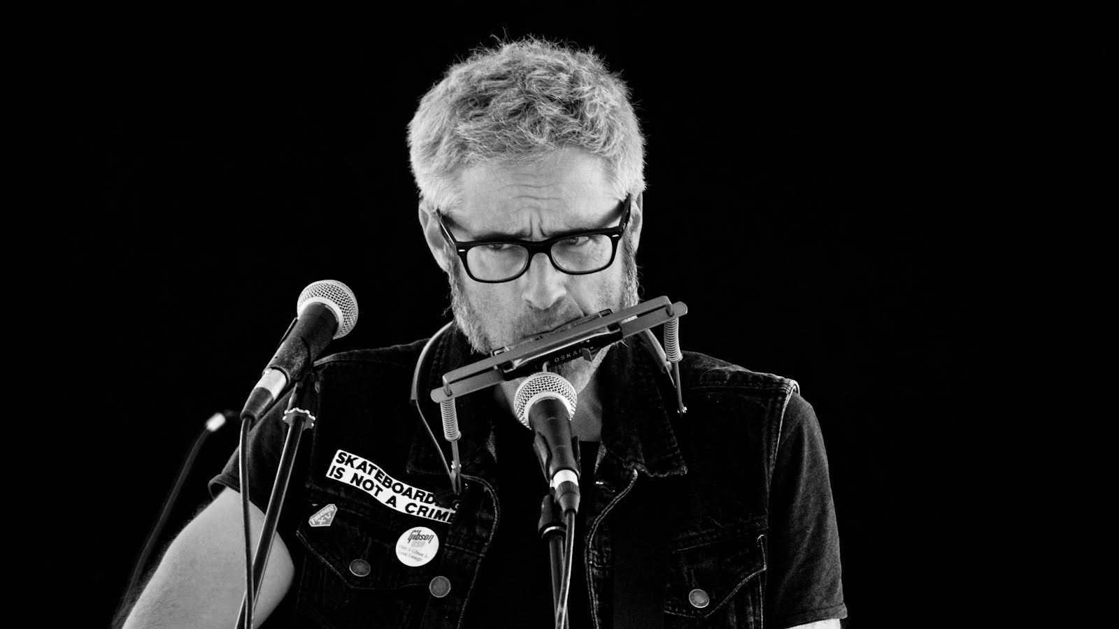 Photo : Gibier Guillaume