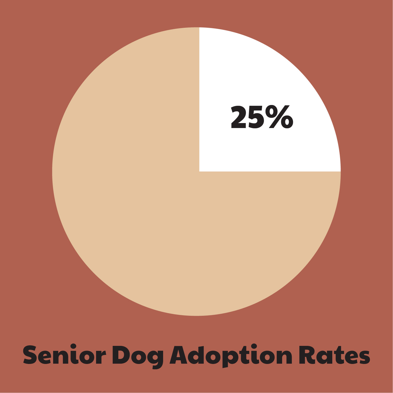 Circle graph for senior dog adoption rates.