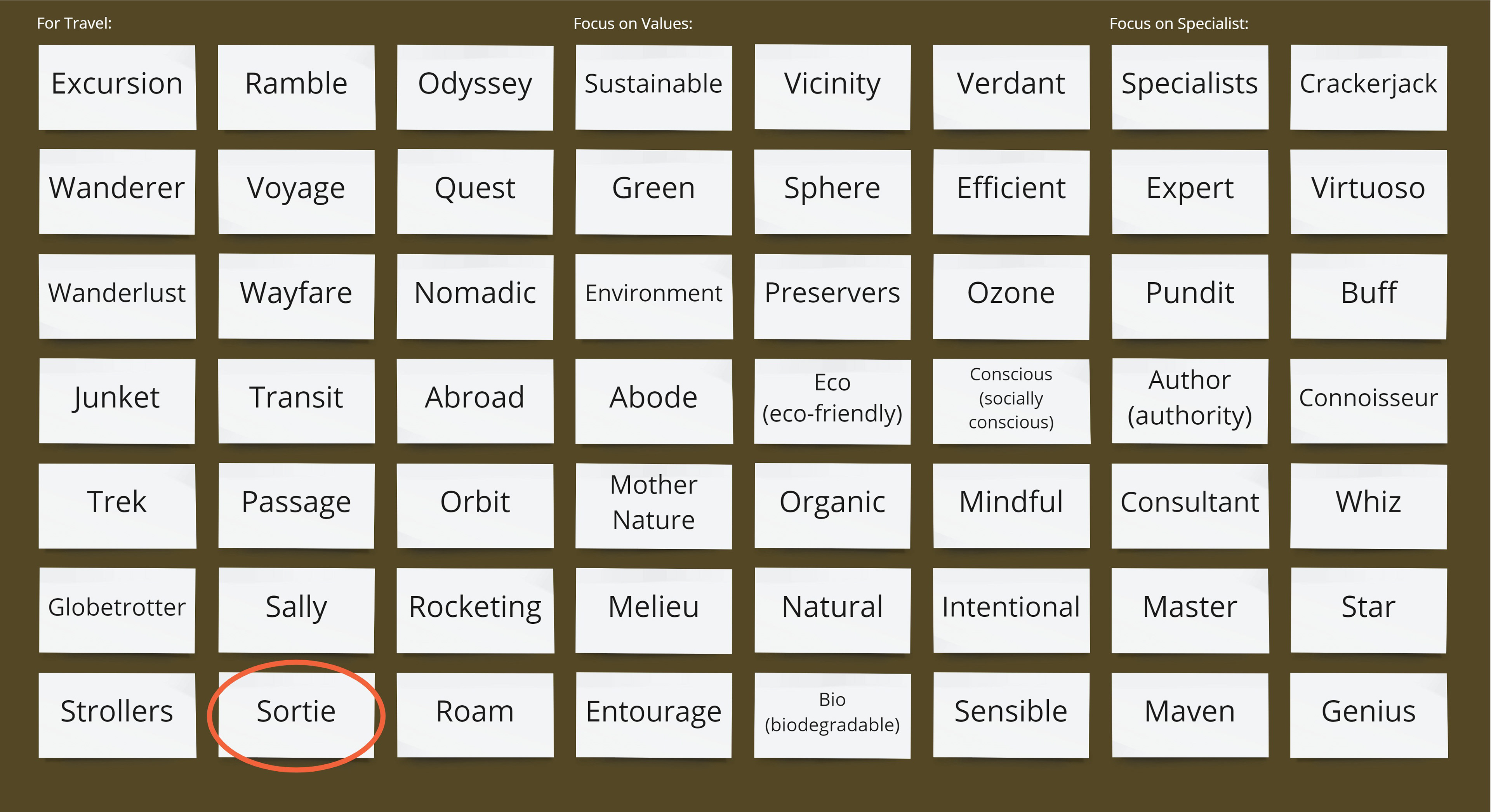 Listed possible company names, with a circle over the chosen name, "Sortie".