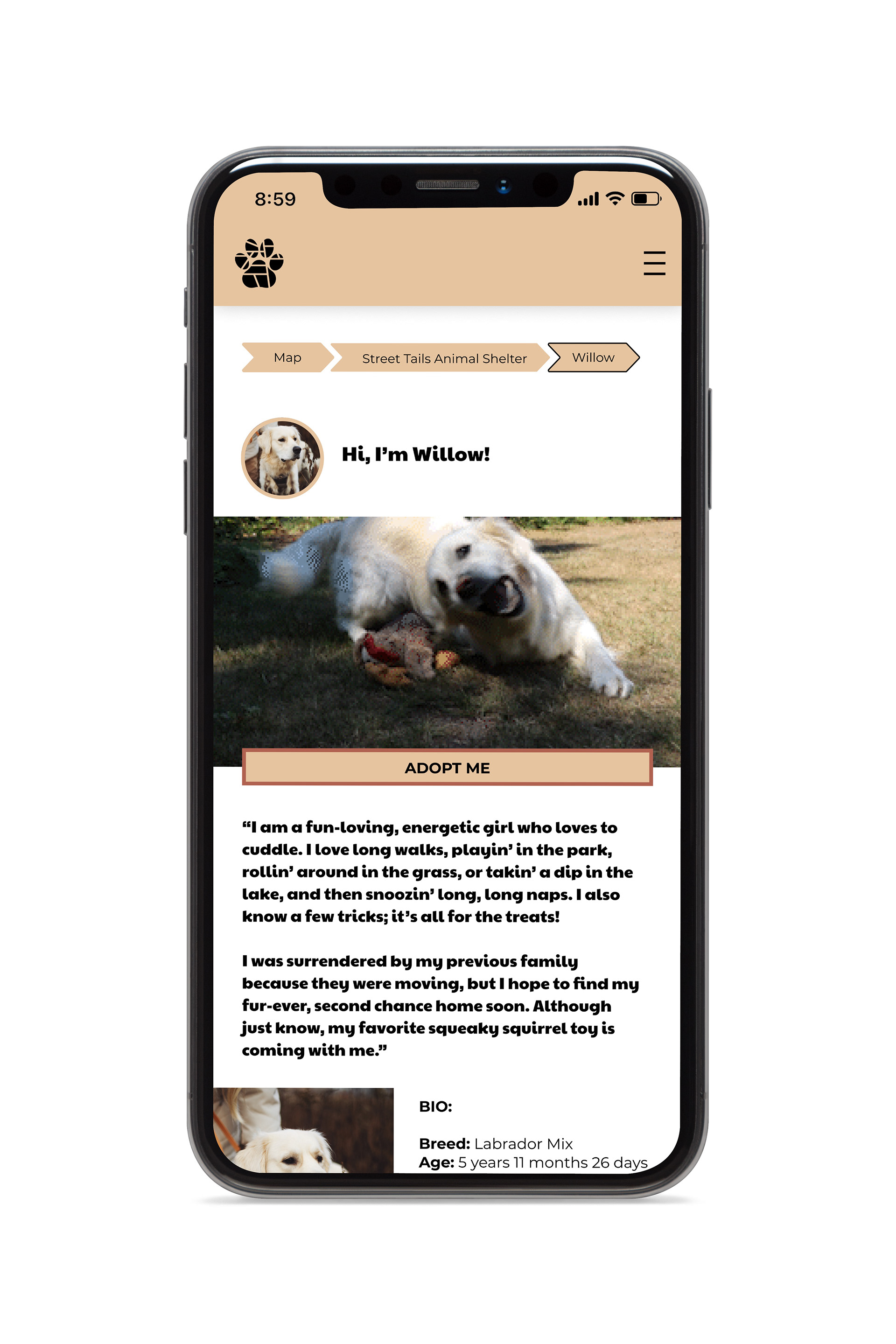 Mockup of a senior dog's profile page.