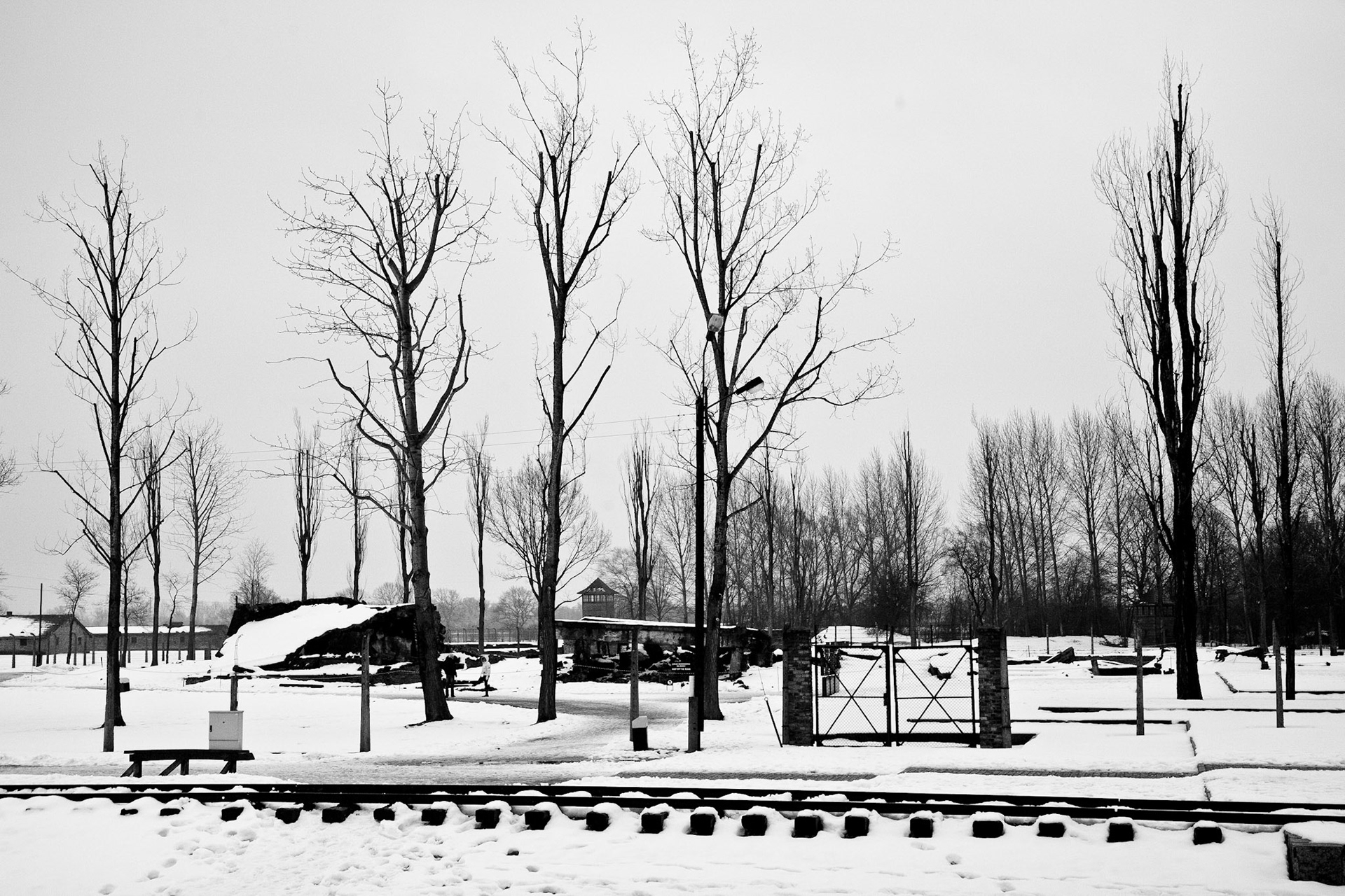 Auschwitz-Birkenau, Gmina Oświęcim, Poland, 2009