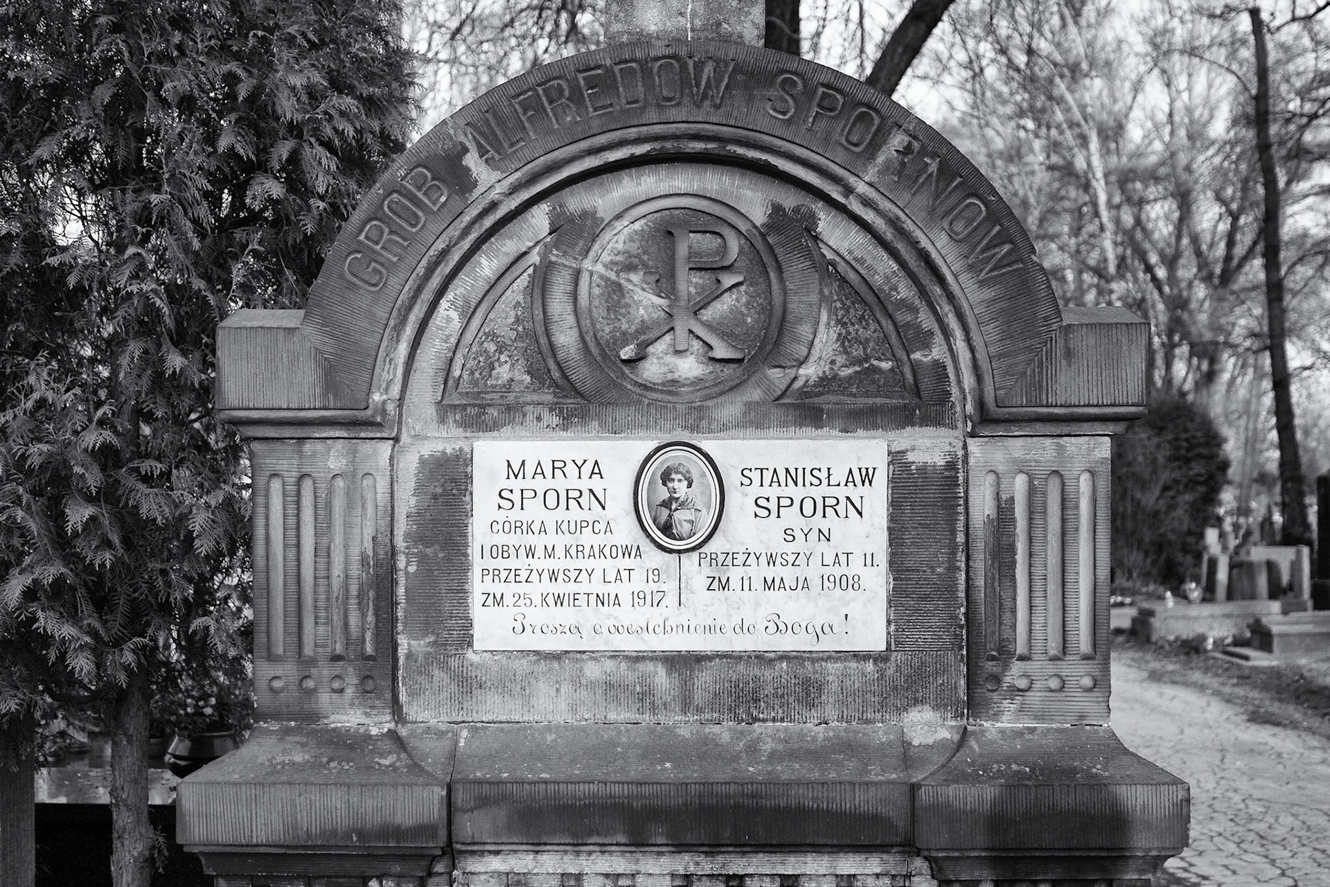 Cmentarz Rakowicki, Warszawskie, Krakow, January, 2014