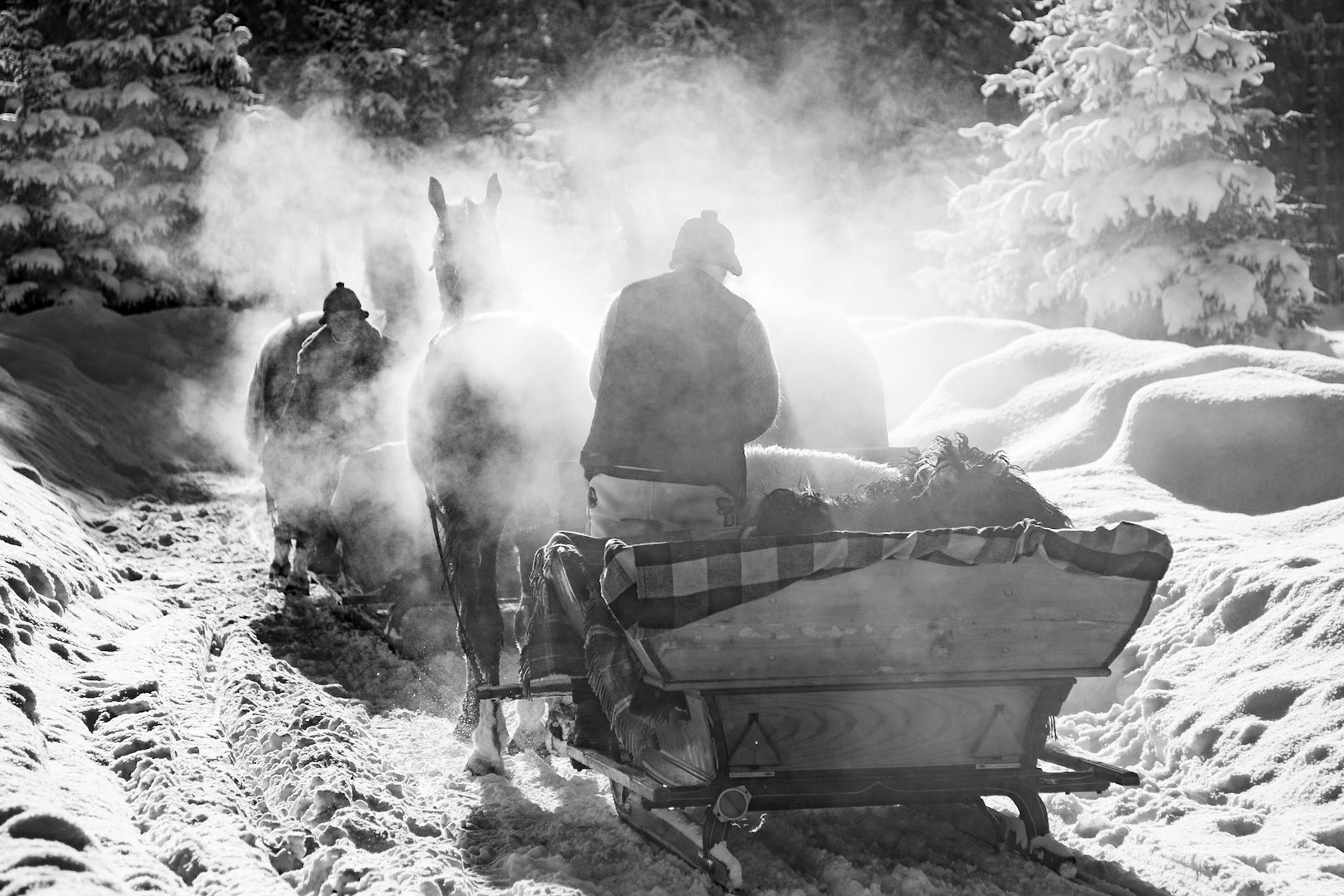 Horses and highlanders, at the end of their journey, pulling sleighs carrying tourists from Palenica Białczańska to Polana Wlosienica, Tatrzański, Tuesday, January 10, 2017
