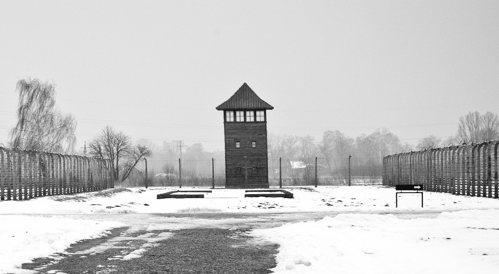 Auschwitz-Birkenau, Gmina Oświęcim, Poland, 2009