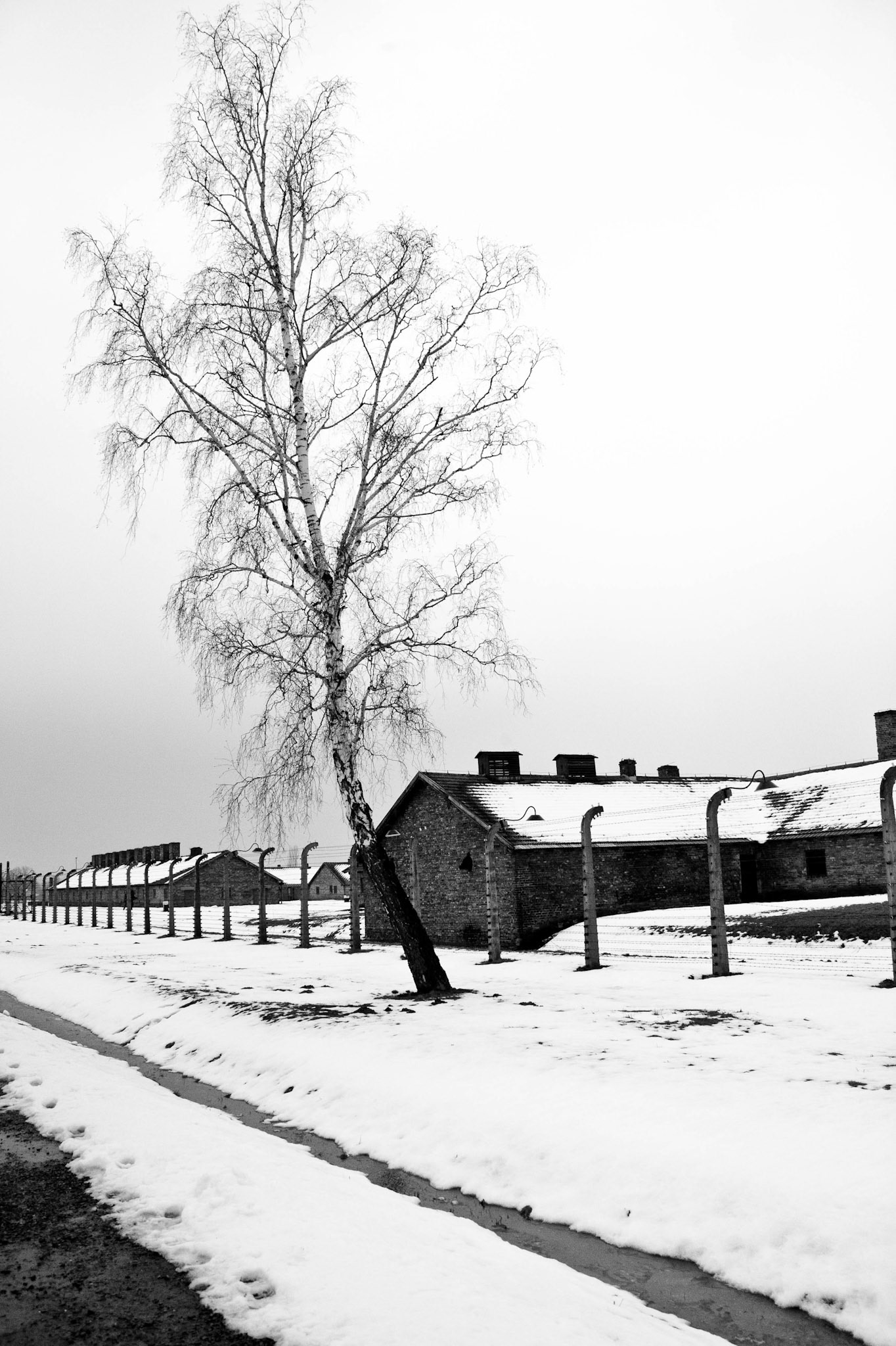 Auschwitz-Birkenau, Gmina Oświęcim, Poland, 2009