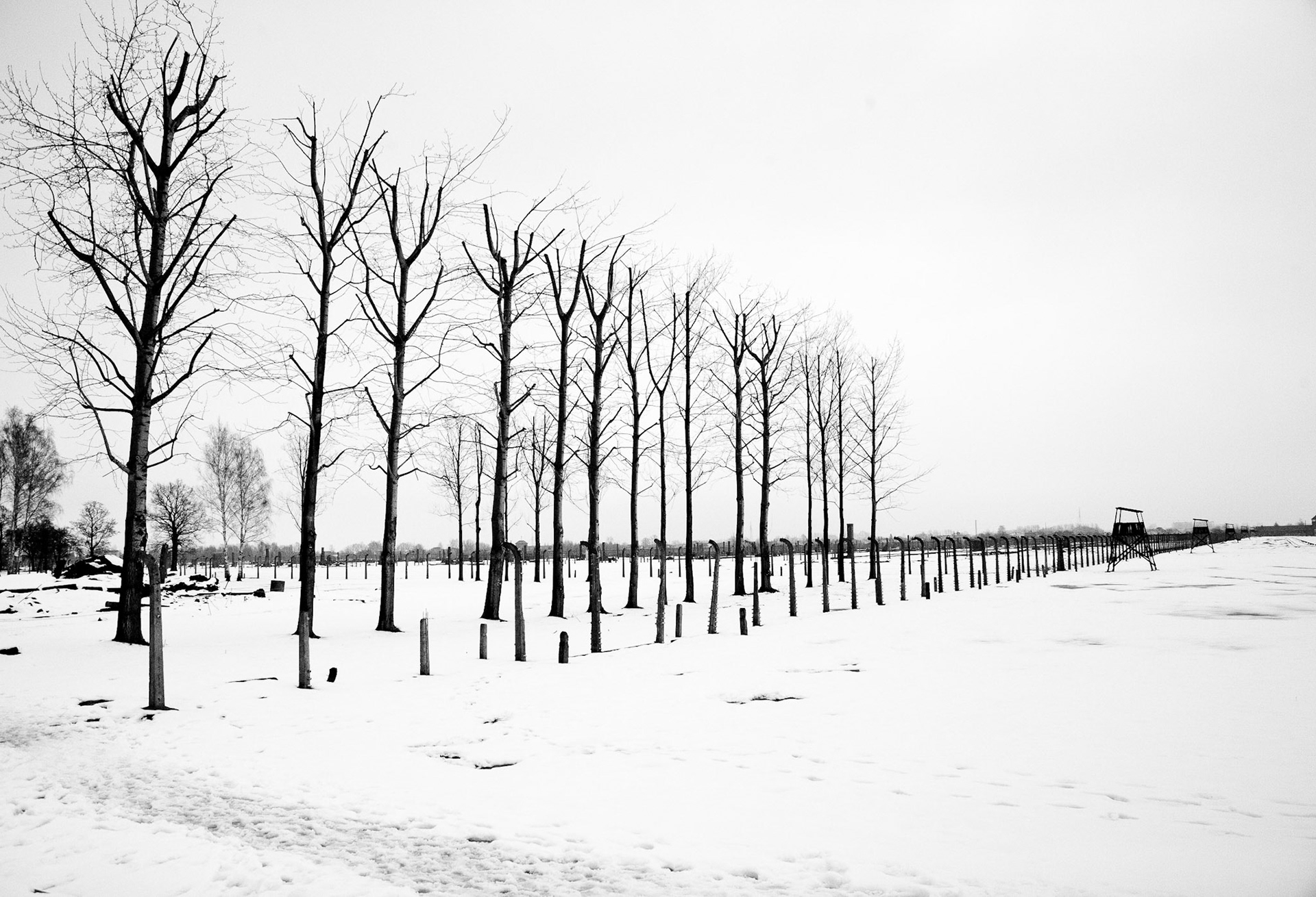 Auschwitz-Birkenau, Gmina Oświęcim, Poland, 2009