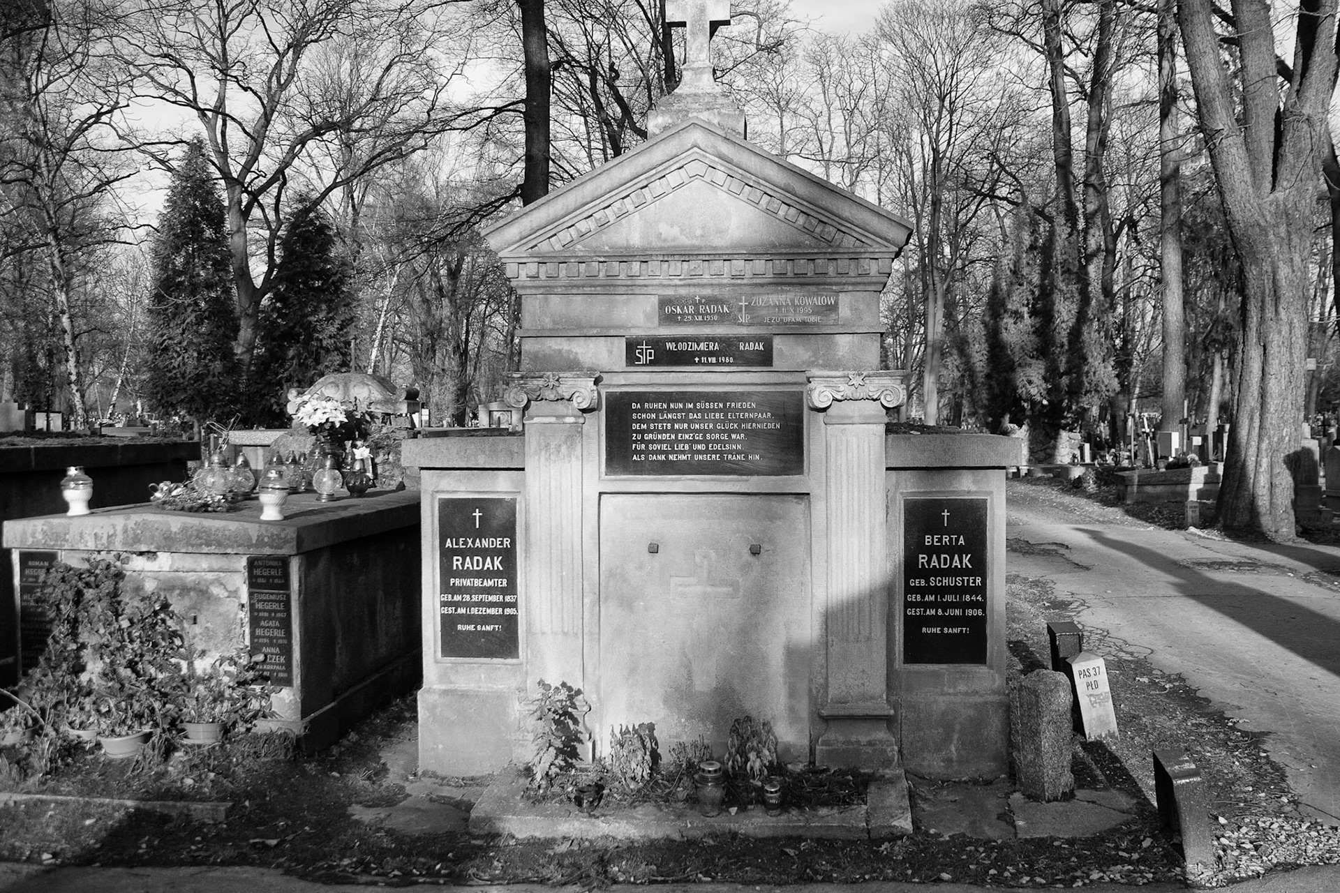 Cmentarz Rakowicki, Warszawskie, Krakow, January, 2014