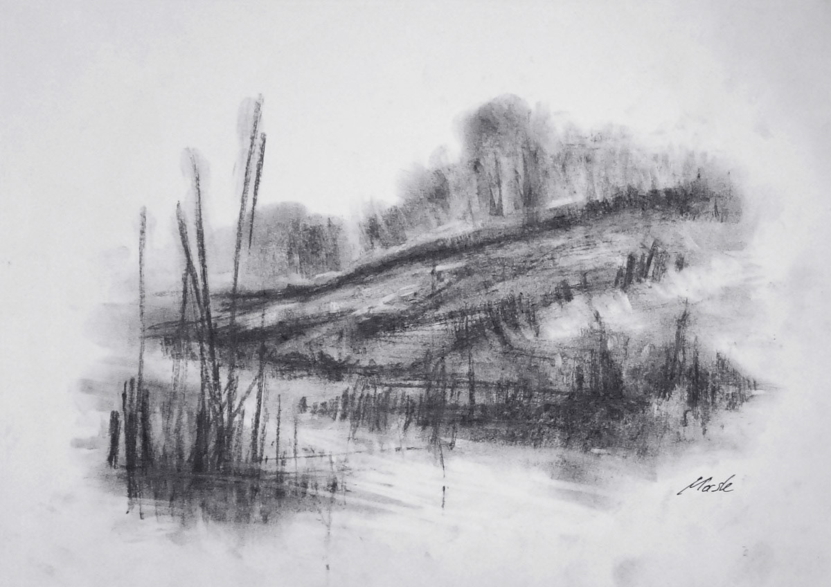 Velvety - charcoal drawing by artist Vitaliy Mashchenko