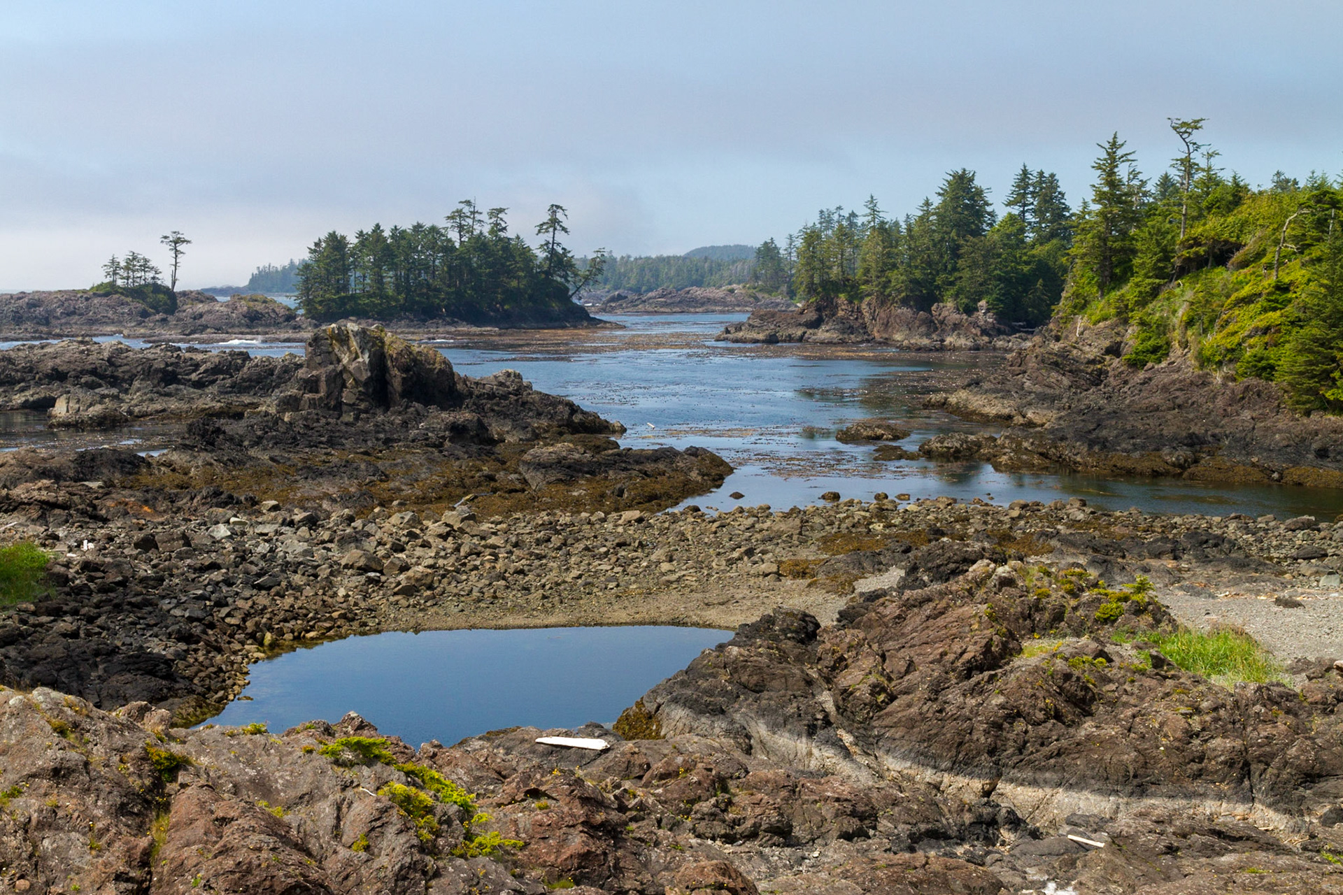 Wild Pacific Trail, Lighthouse Loop, Ucluelet, Vancouver Island