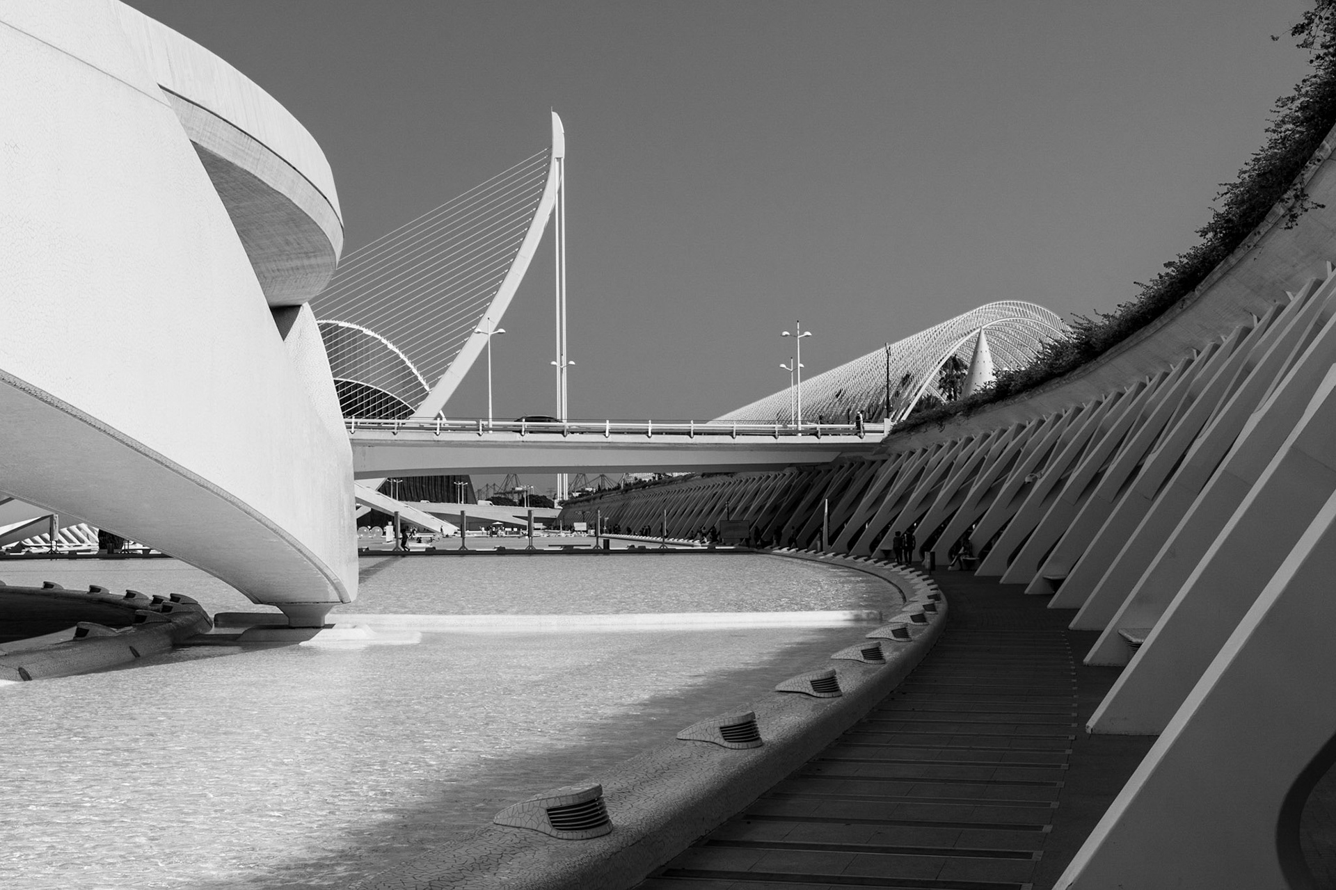 De Puente de l'Assut de l'Or en de Umbracle