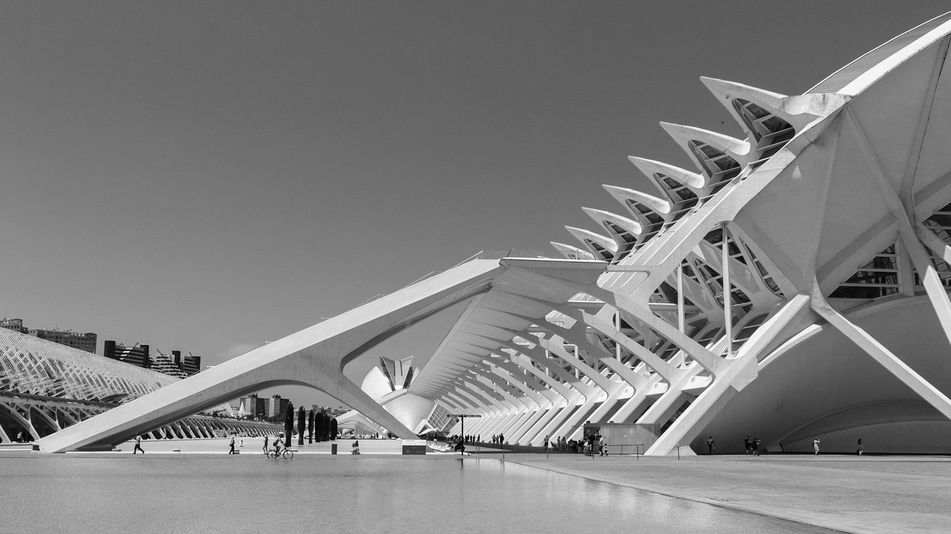El Museu de les Ciències Príncipe Felipe (2000) is een gigantisch wetenschapsmuseum