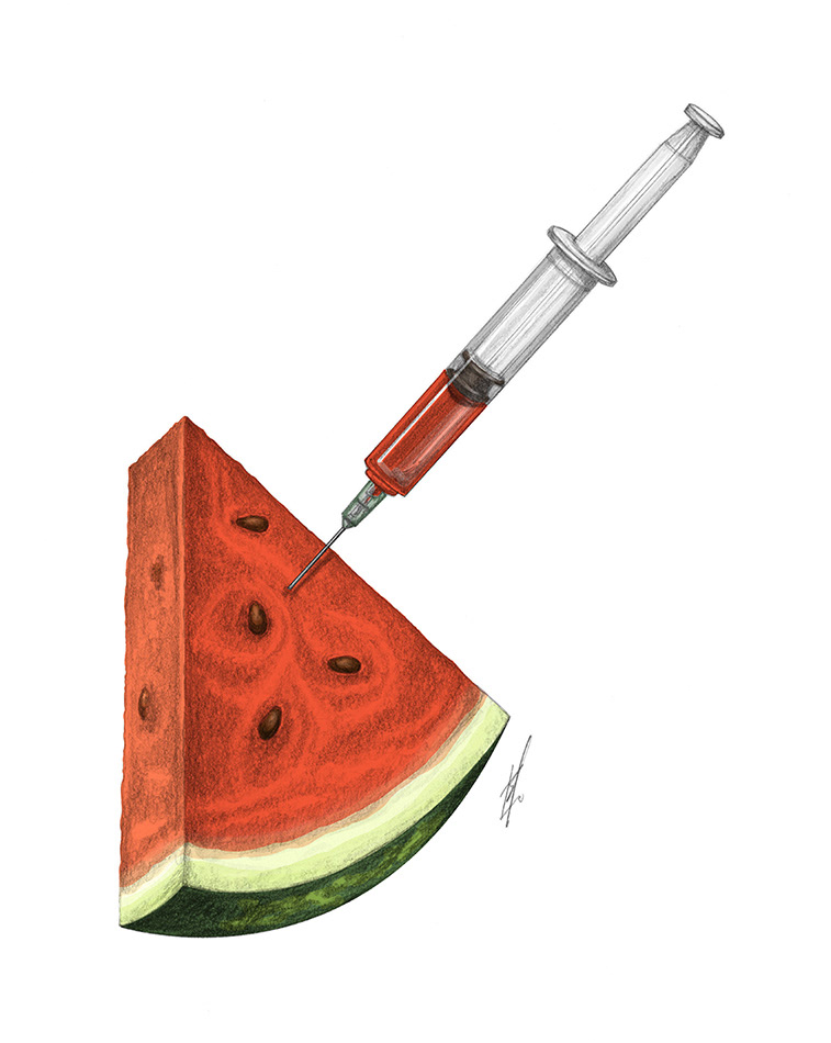 watermelon injected with a syringe