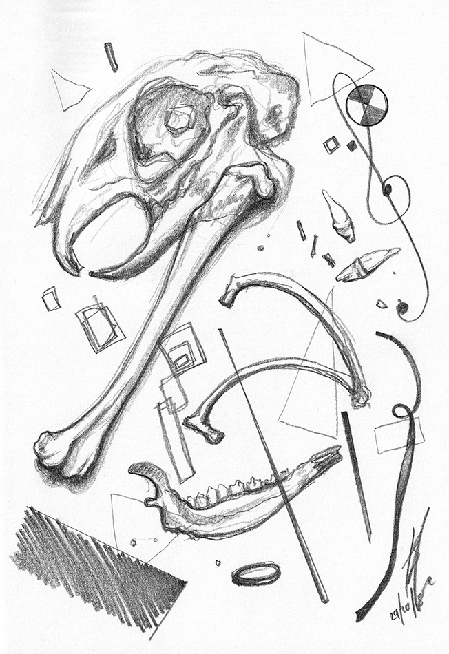 bones arranged randomly