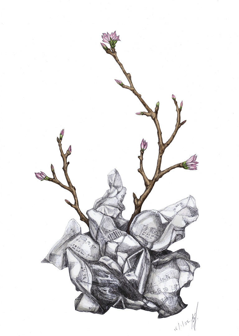 flowers sprouting from rubbish