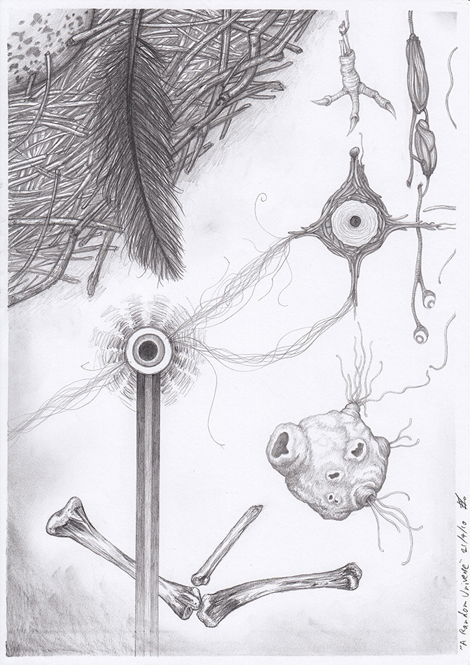 organic abstract chicken parts arranged