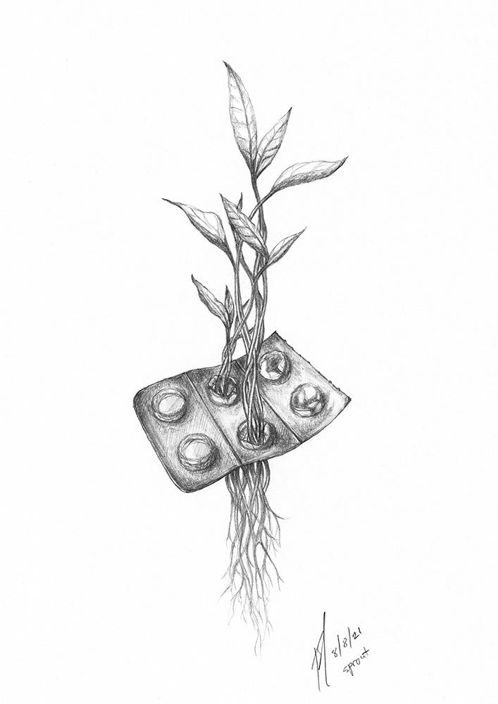 leaves sprouting from pill package