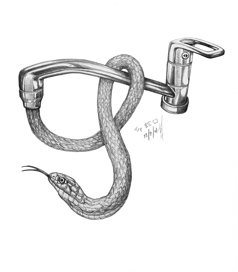 snake wrapping around a water tap